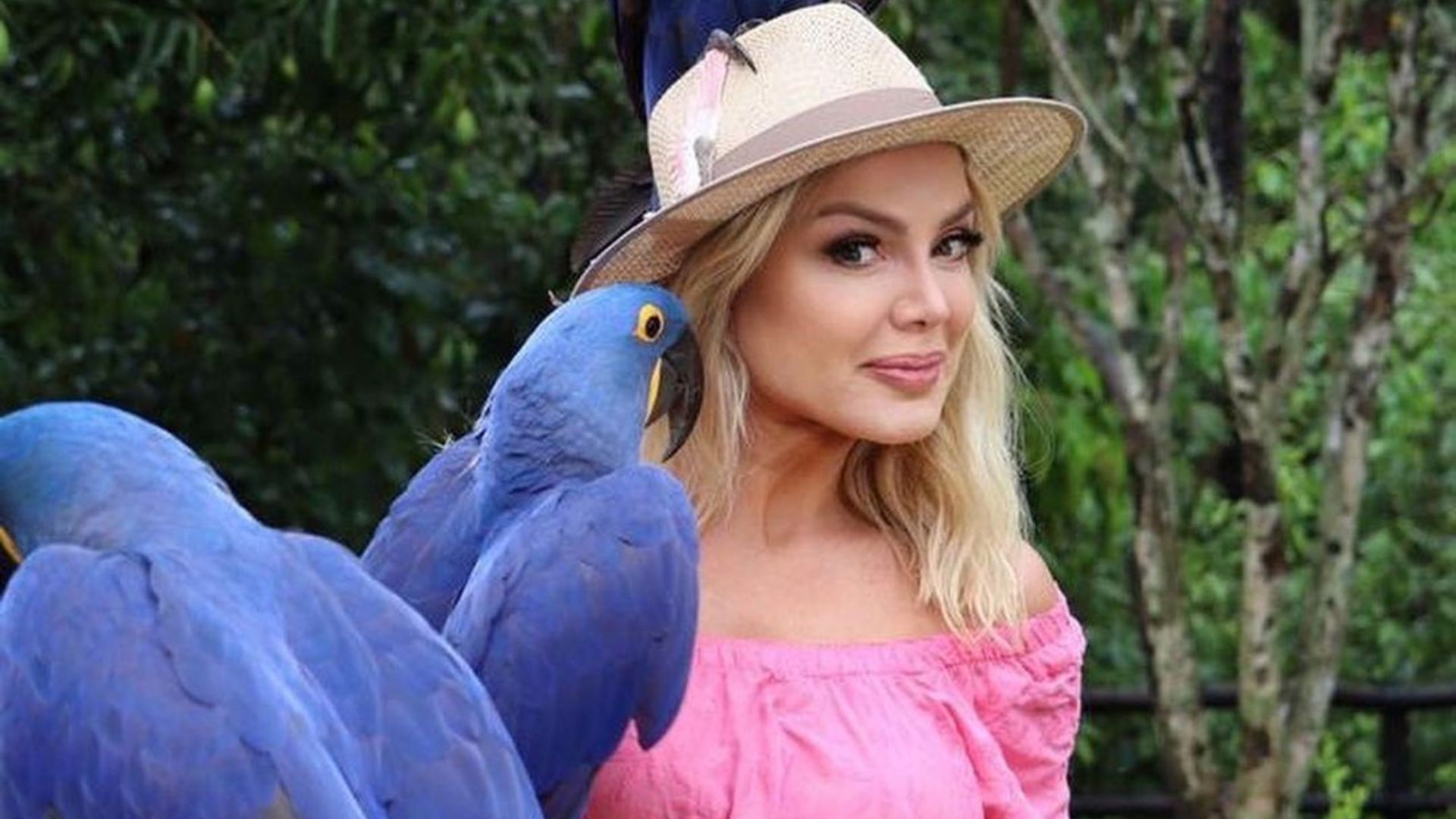 Eliana é detonada após gastar fortuna com diária em hotel de luxo: “Triste realidade”