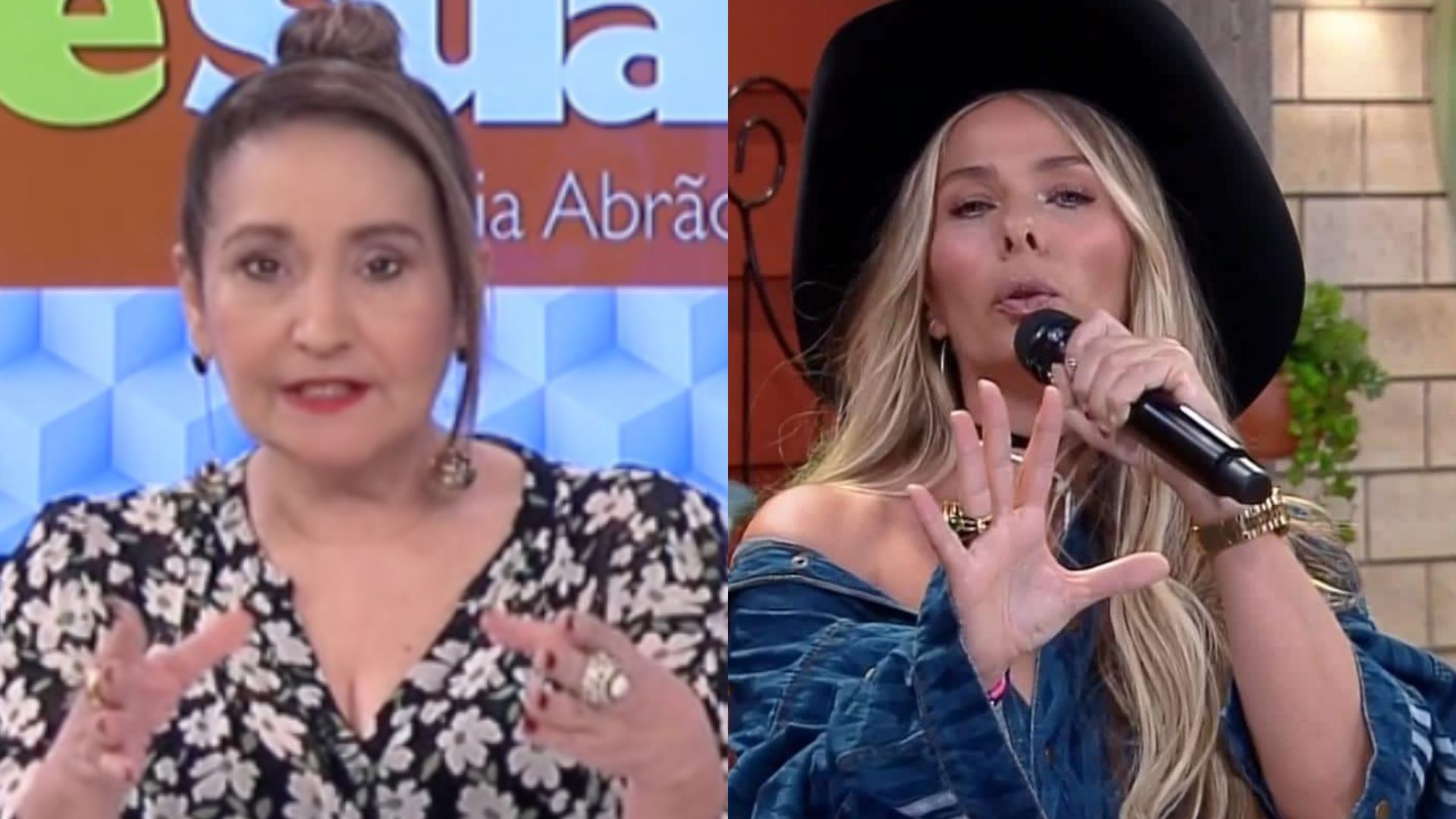 Sonia Abrão esculacha produção da Record TV após agressão e detona elenco de ‘A Fazenda 14’: “Baixo”