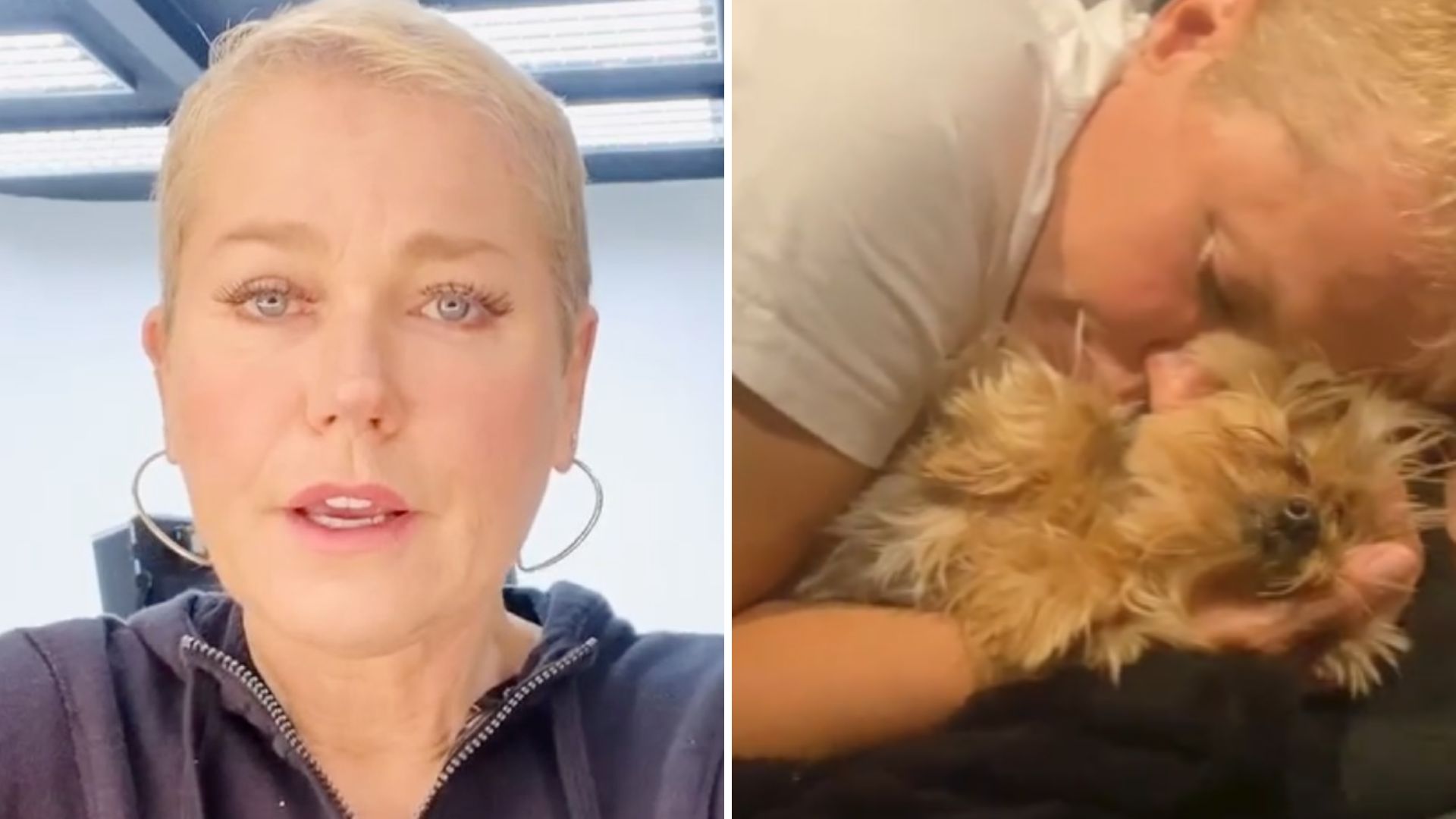 Xuxa Meneghel rebate comentários maldosos por mimar cachorrinha: “Não vou admitir”