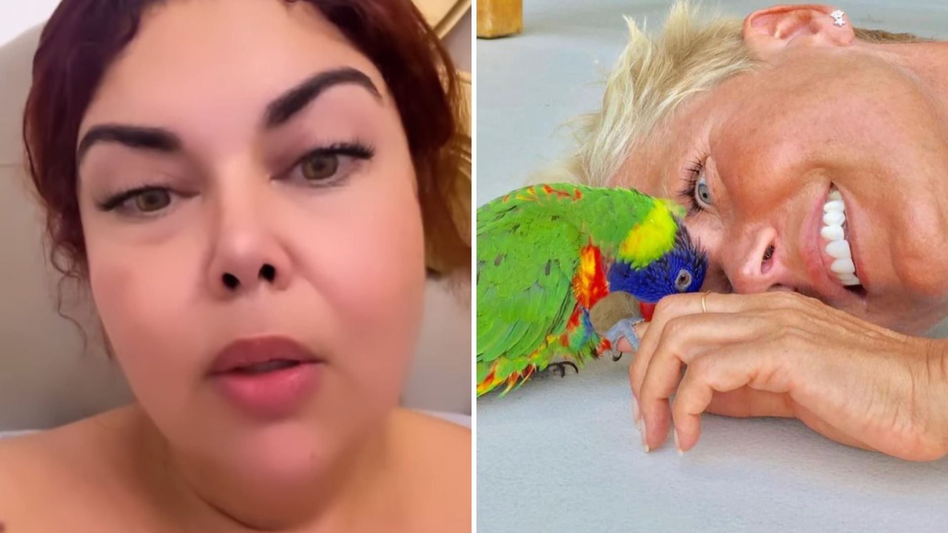 Fabiana Karla comete gafe ao comentar morte do papagaio de Xuxa: “Sem ler”