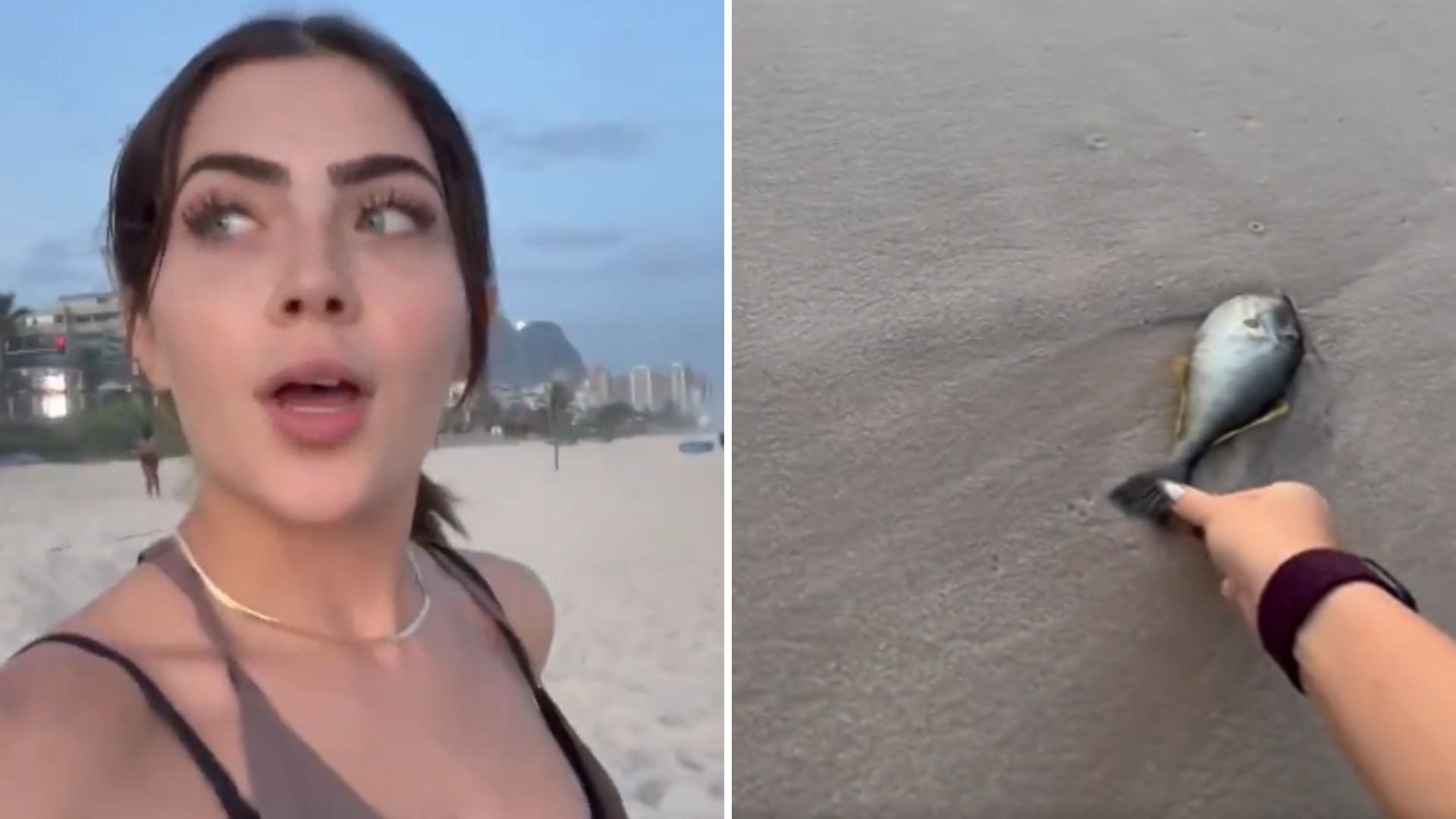 Jade Picon dá escândalo ao tentar salvar peixe na praia: “Acho que morreu”