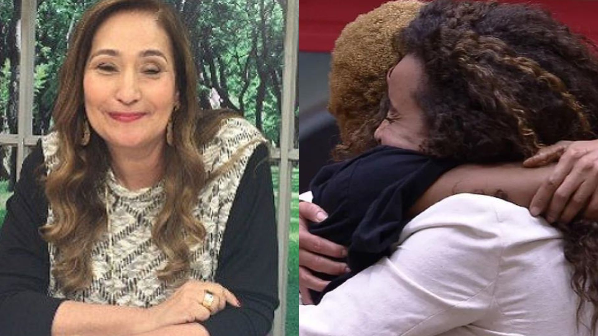 Sonia Abrão se diverte com fim de grupo no BBB23: “Comemorando até agora”
