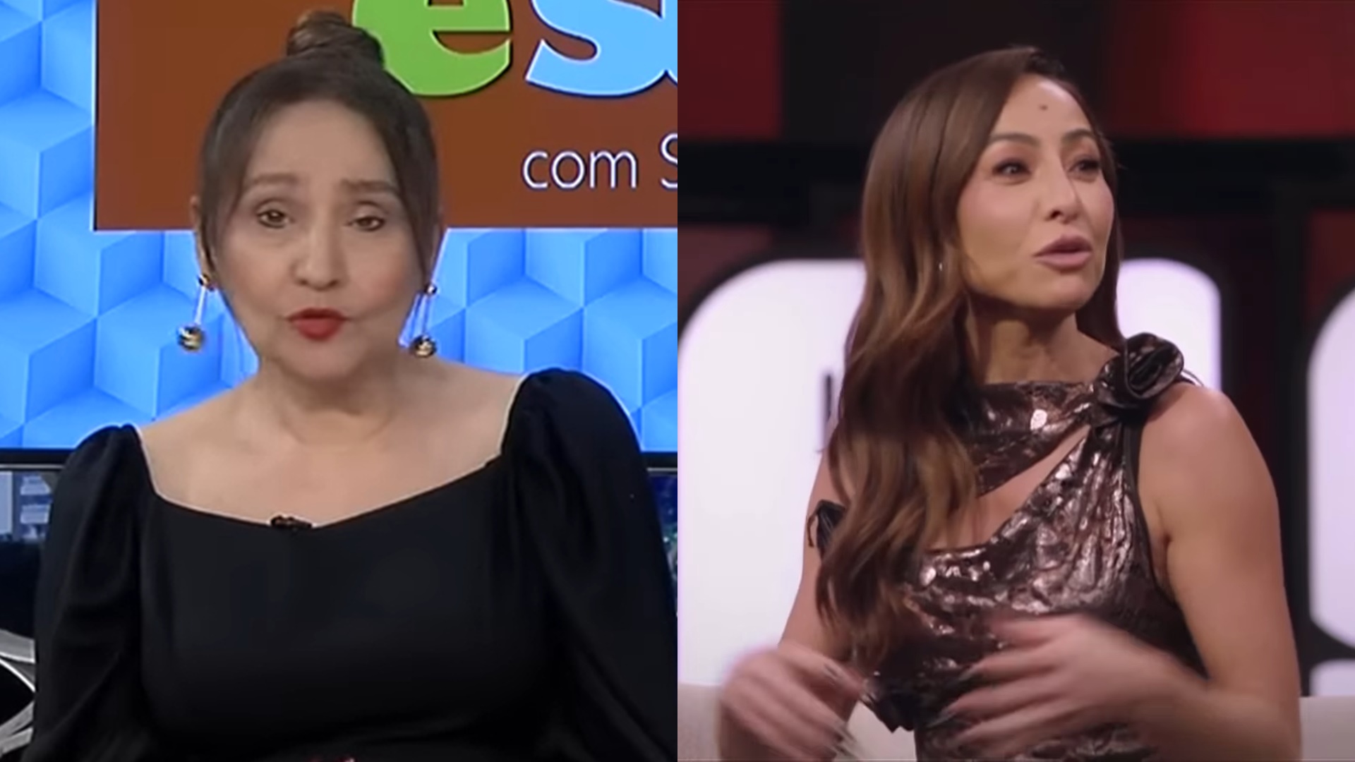 Sonia Abrão pede perdão após fazer Sabrina Sato tomar multa em condomínio: “Não sabia”