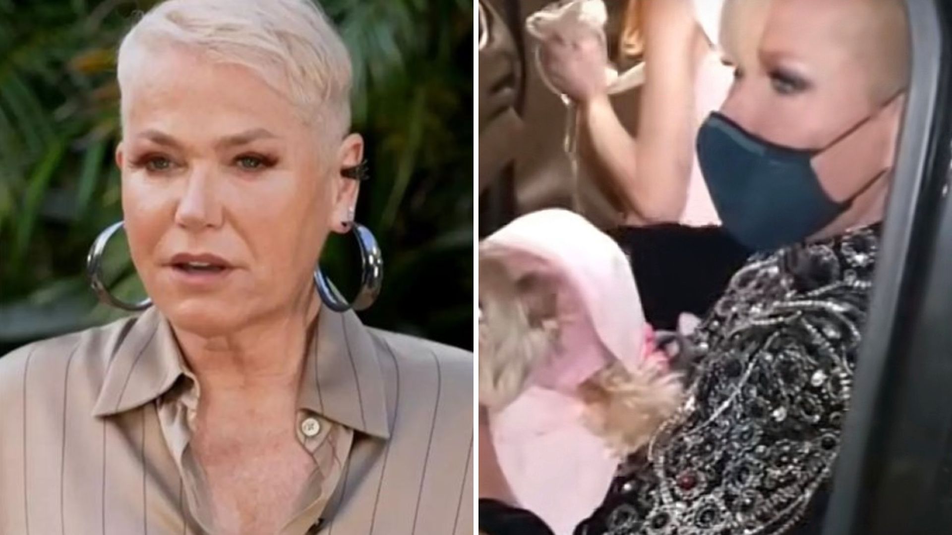 Xuxa Meneghel já se recusou a tirar foto com fã veterana: “Não é Bolsominion?”