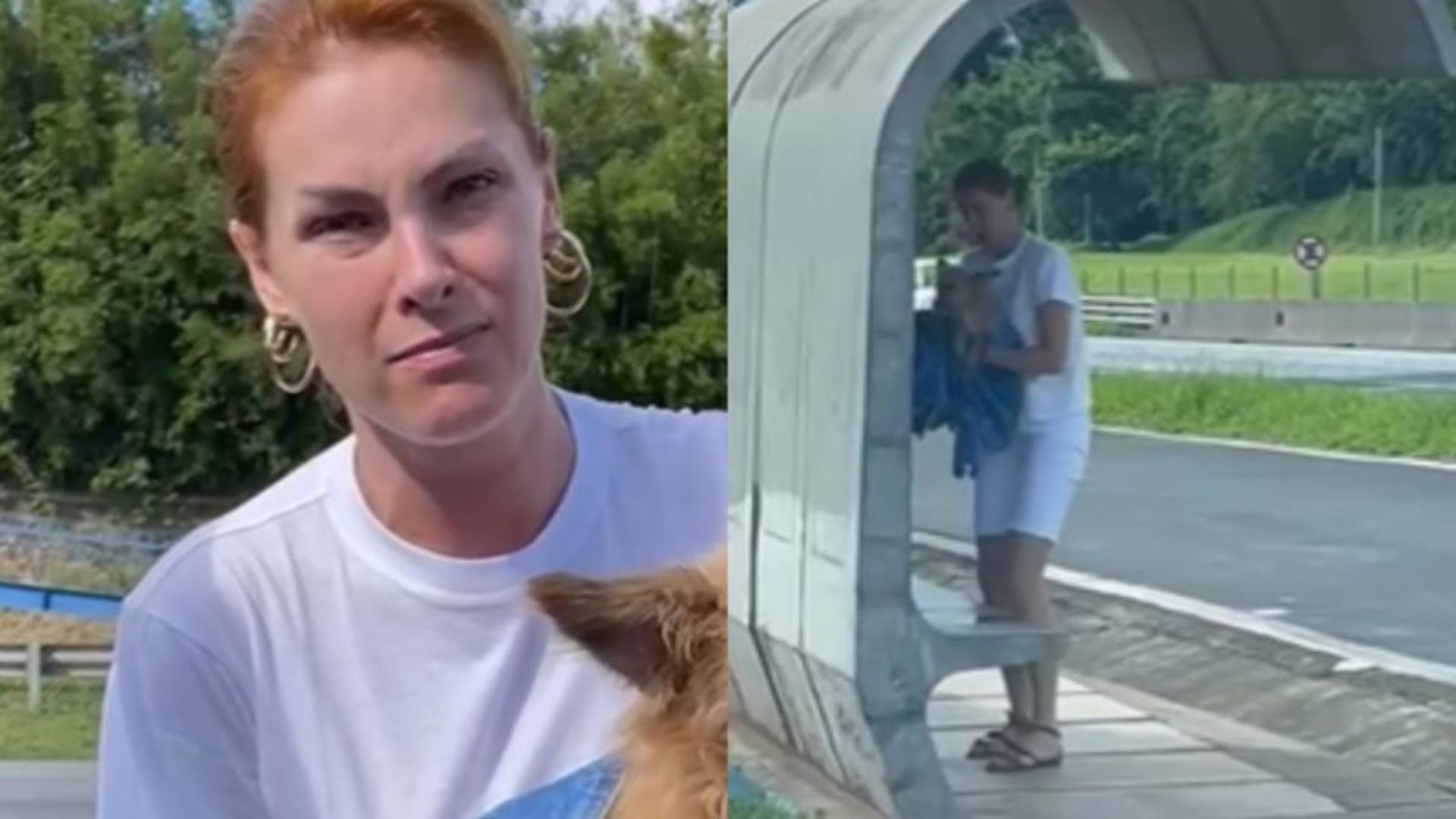 Em vídeo, Ana Hickmann comove web ao resgatar cachorro na estrada: “Deixado pra morrer”