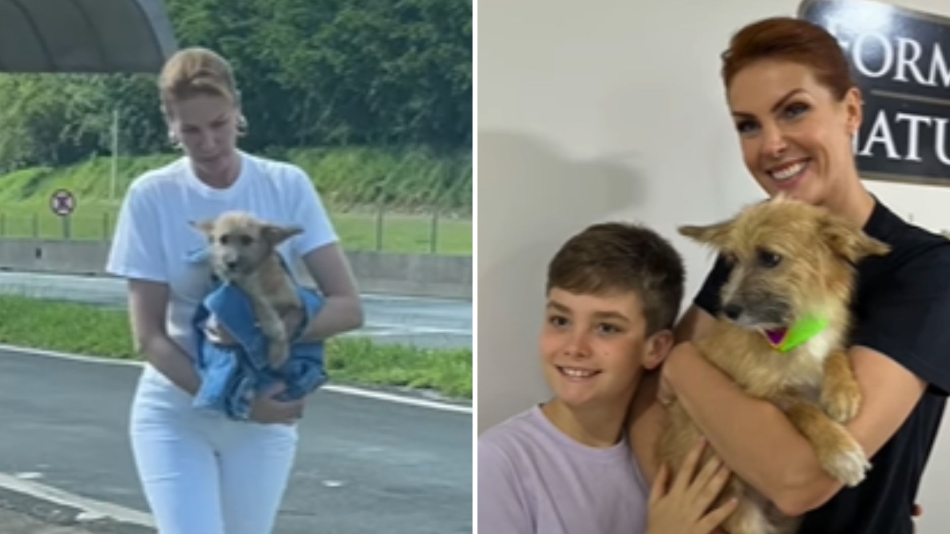 Ana Hickmann adota cachorro que resgatou: “Ele que nos encontrou”