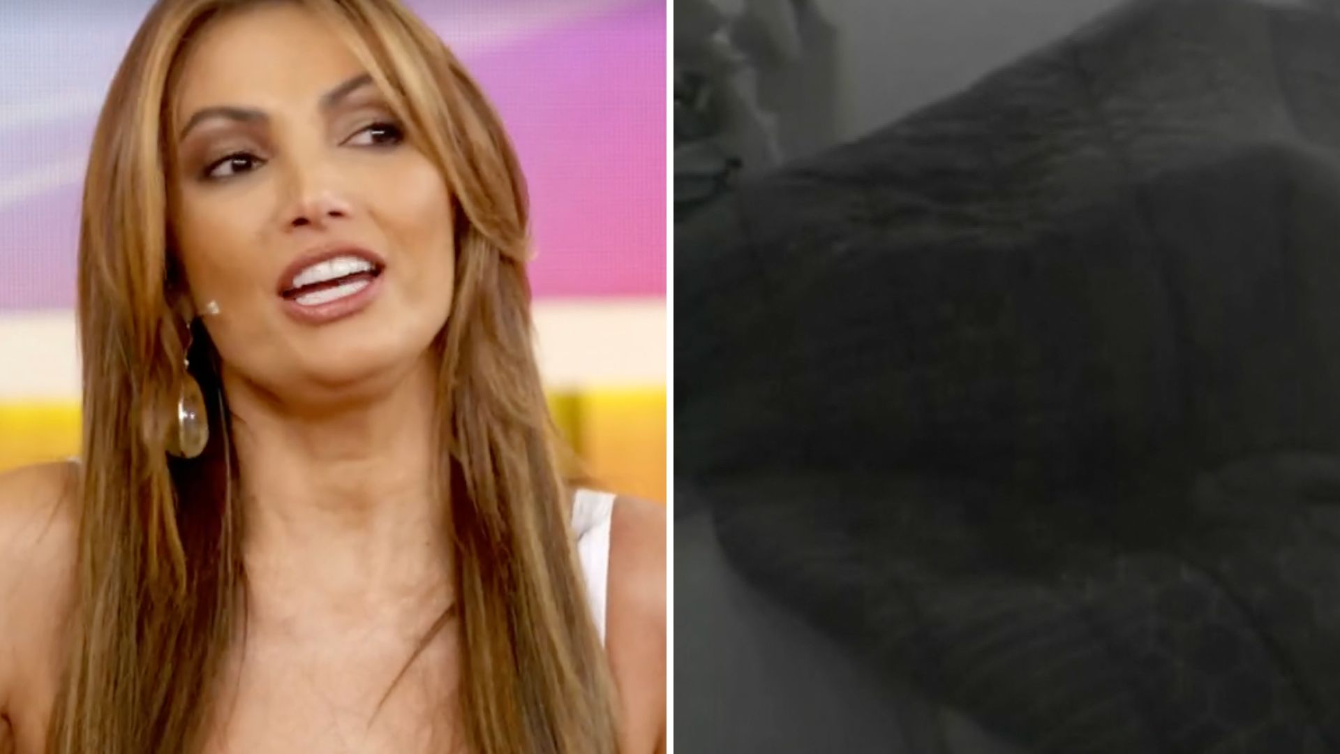 Encontro censura imagens do ‘BBB23’ após cenas quentes: “Horário não permite”