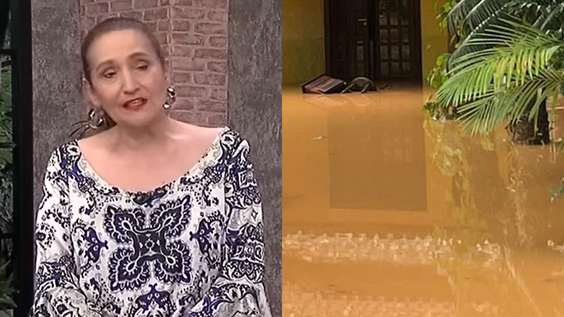 Filho de Sonia Abrão exibe situação da casa após perder tudo em chuva: “Tristeza”