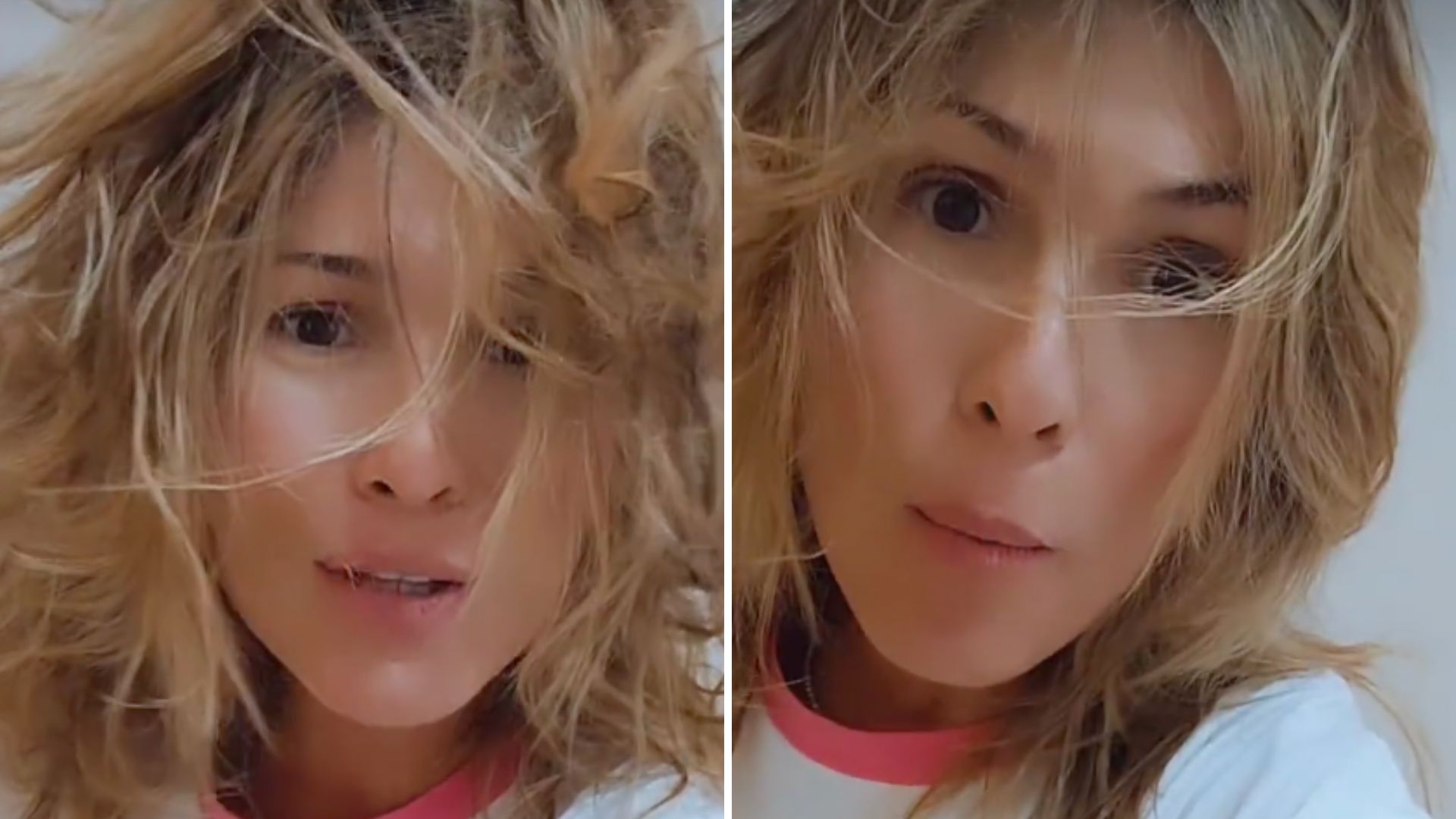 Oi? Lívia Andrade revela que está infestada por pulgas: “Essa é a realidade”