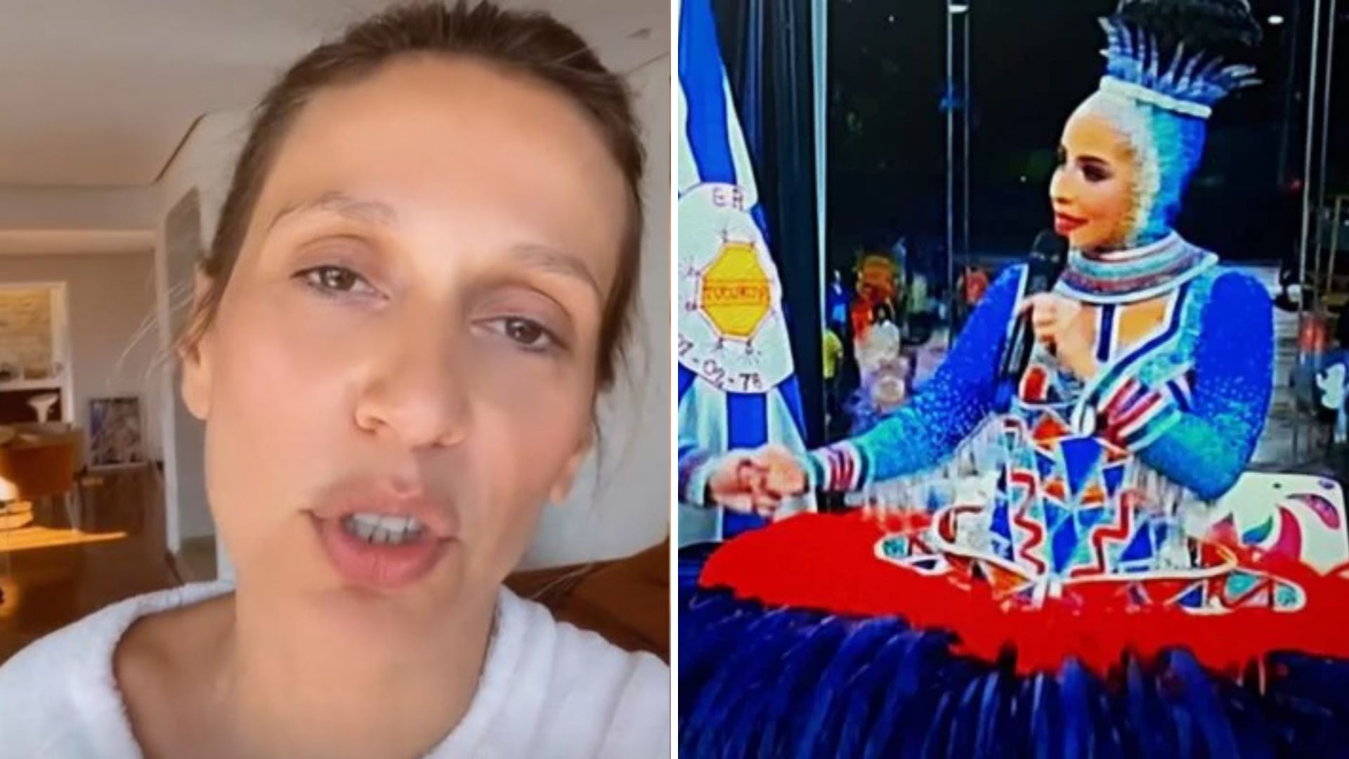 Luisa Mell desce a lenha em escola de samba após ver fantasia da porta-bandeira: “Horrorizada”