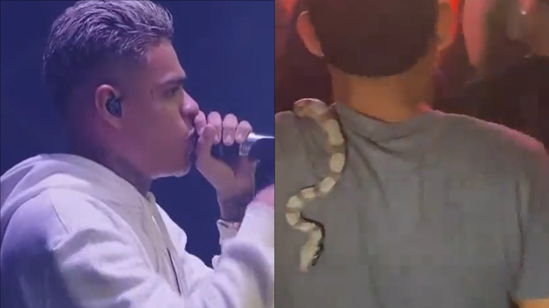 MC Cabelinho para show após fãs encontrarem cobra na plateia: “Cobrem o responsável”