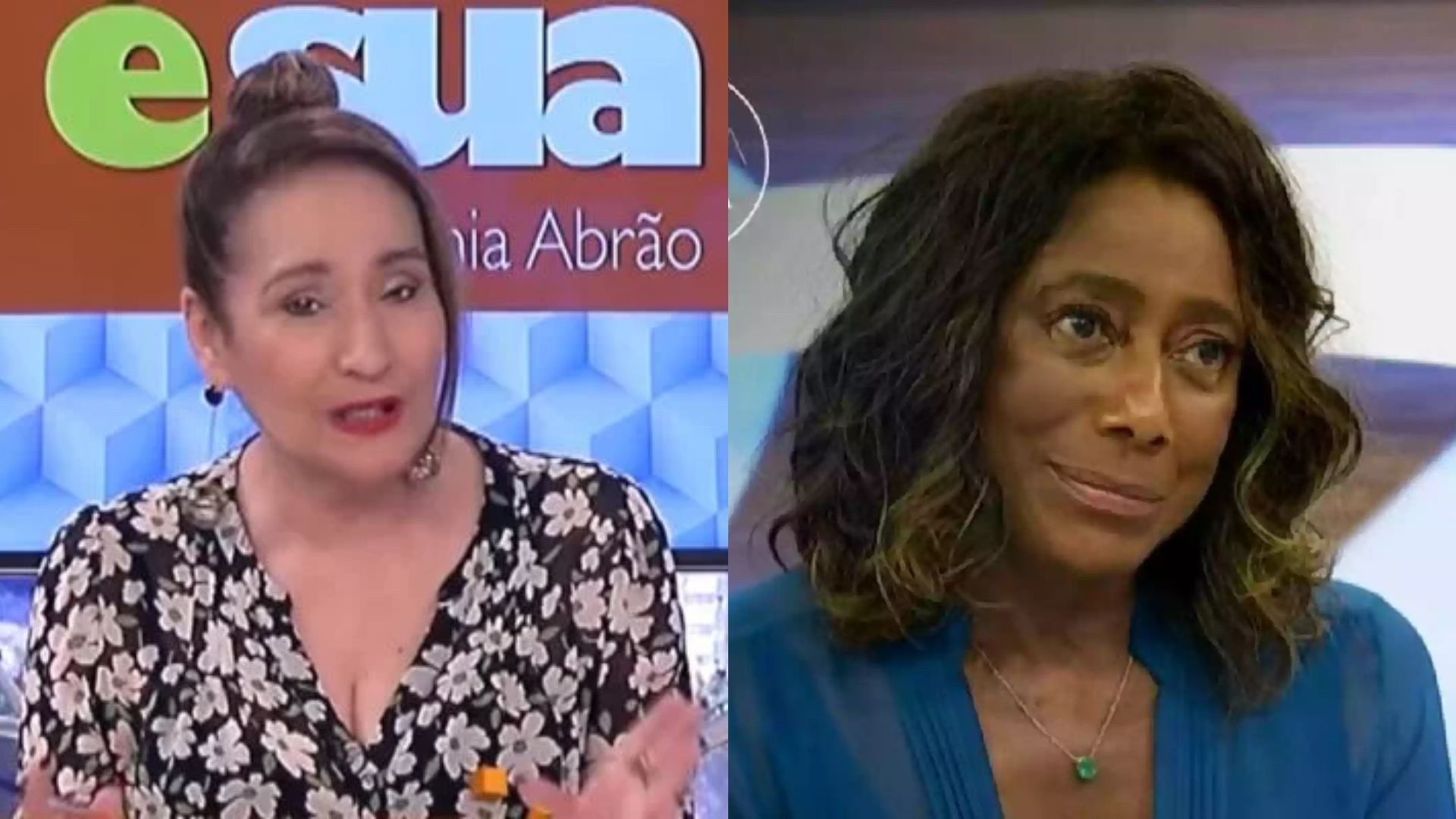 Sonia Abrão detona fã que desmereceu homenagem para Glória Maria: “A vida me ensinou”