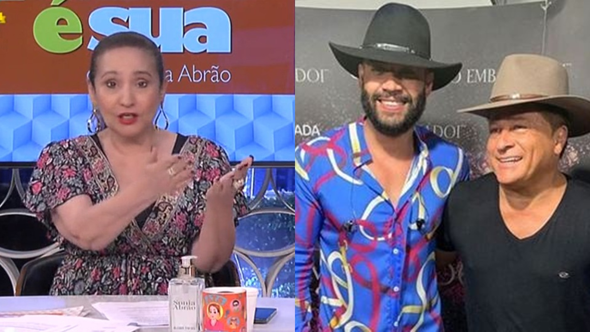 Sonia Abrão detona Leonardo após polêmica com Eduardo Costa e Gusttavo Lima: “Mimadinho”