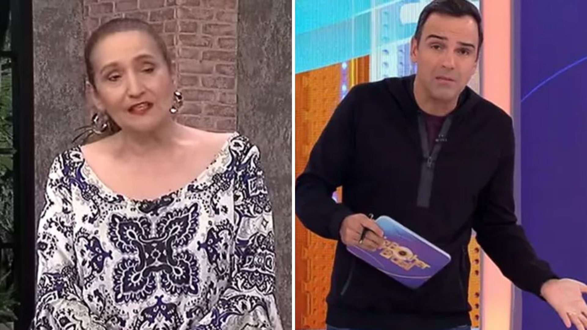 BBB 24: Sonia Abrão não perdoa Tadeu Schmidt após discurso polêmico: “Mau exemplo”