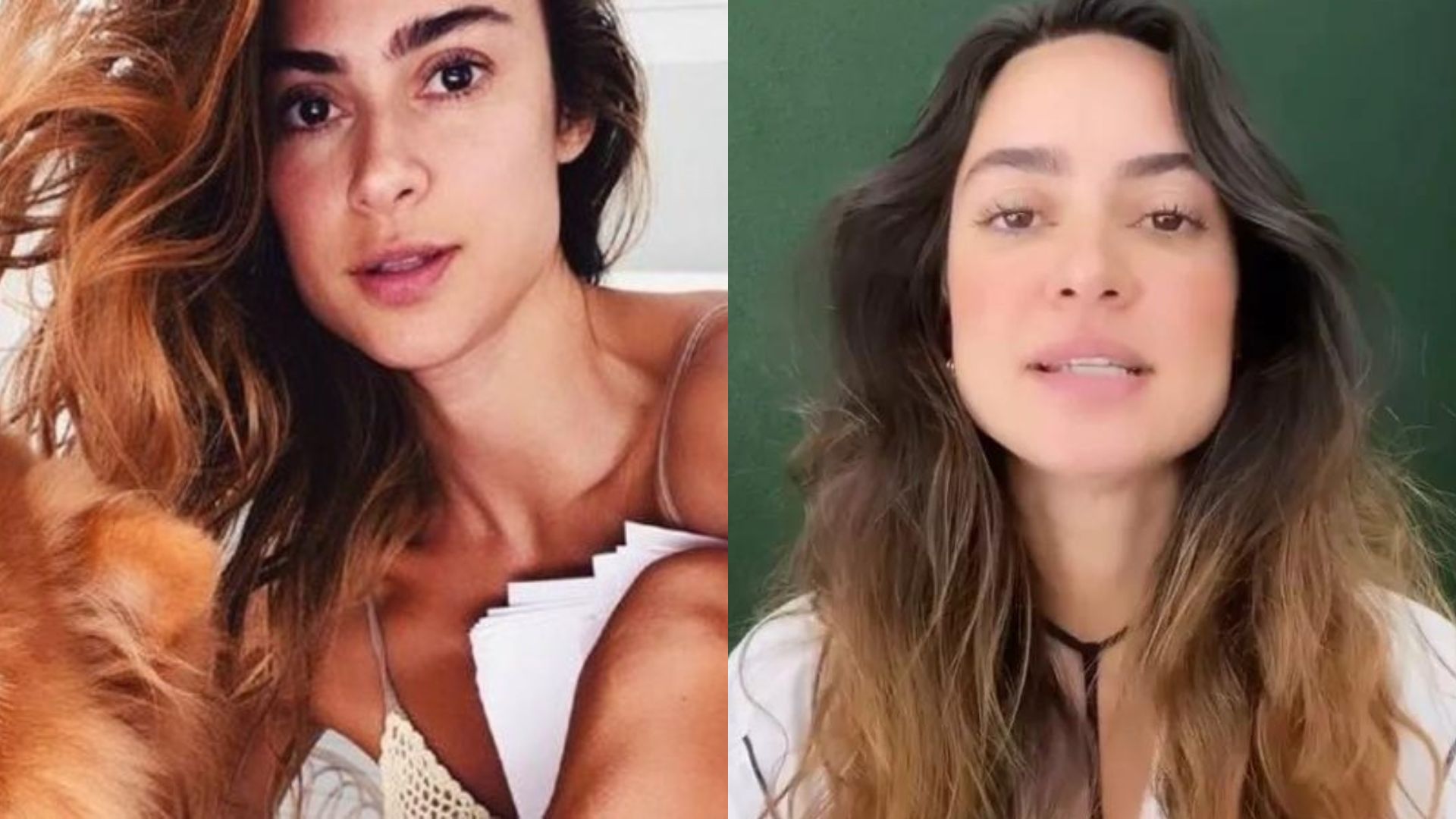 Thaila Ayala faz súplica e desabafa após cachorro ser atacado: “Rasgou o bichinho”