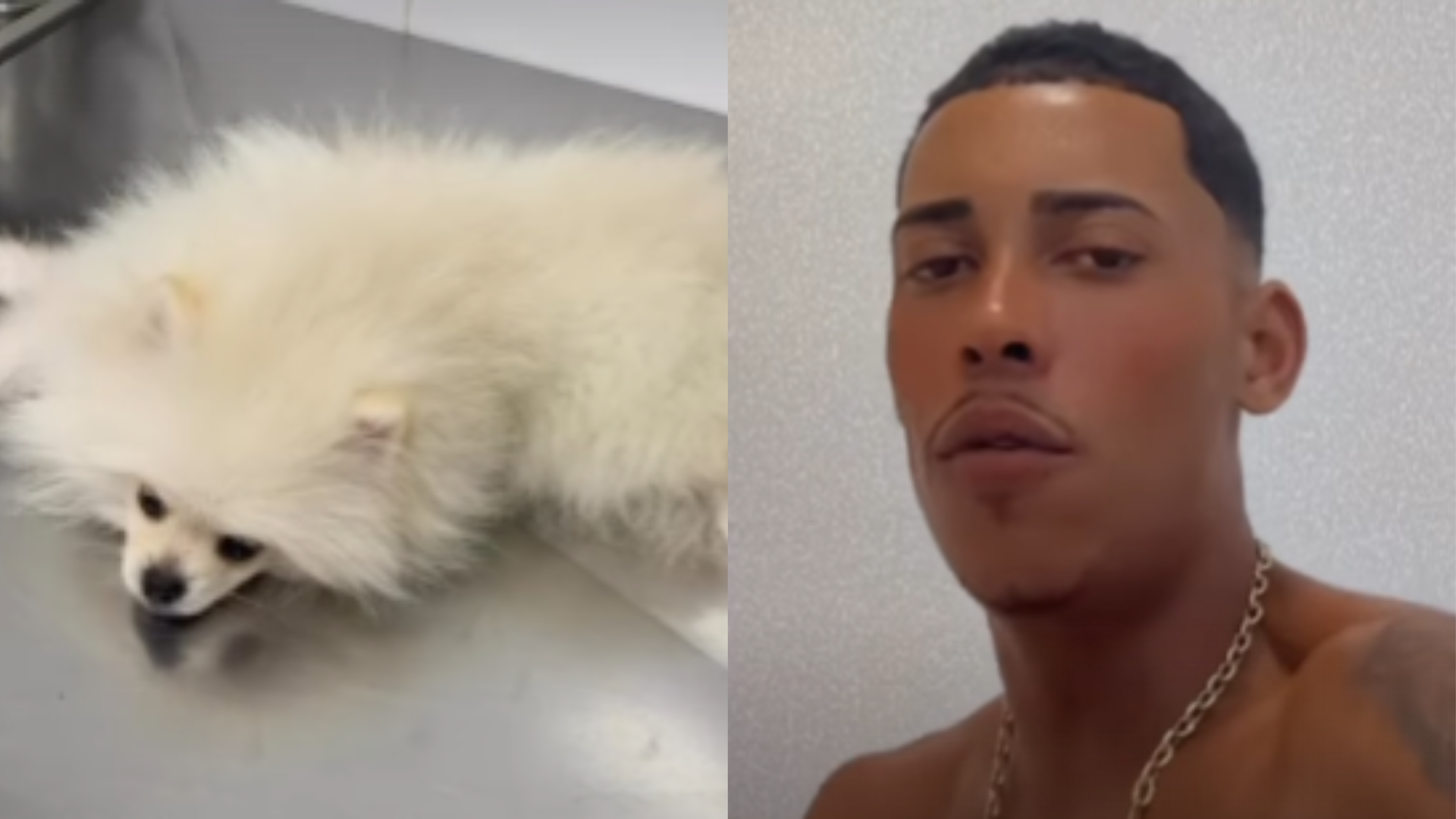 MC Poze do Rodo se desespera ao descobrir que cachorro ingeriu maconha: “Coração apertou”