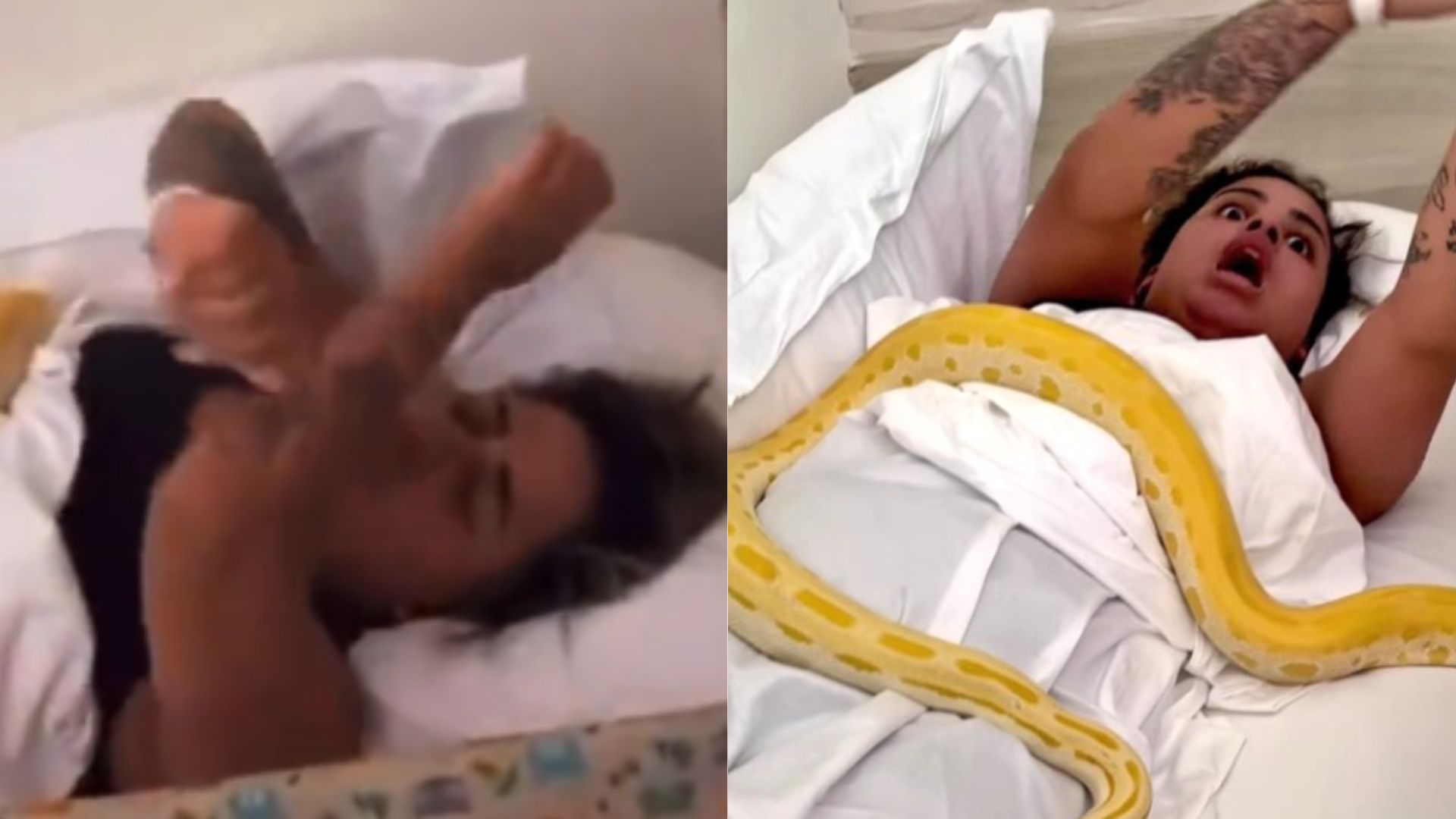 Mirella Santos coloca cobras na cama de MC Loma e cantora se desespera: “Passando mal”