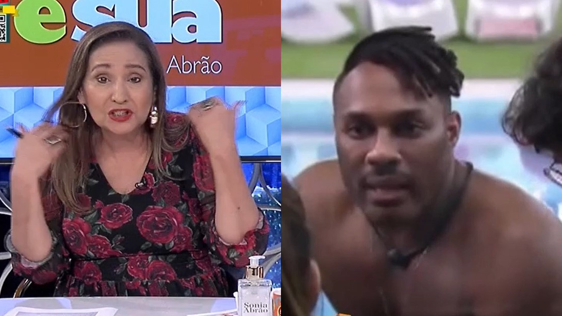 Sonia Abrão se revolta com xingamento de Fred Nicácio a Gil do Vigor: “Pobre de espírito”