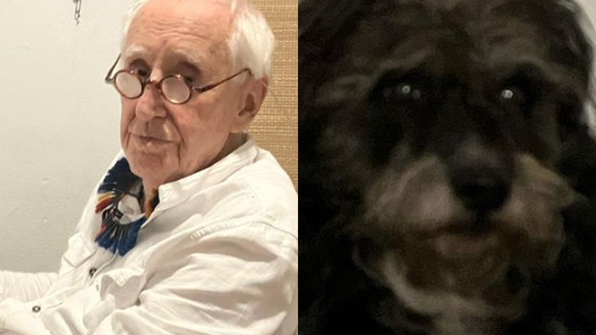 Ferido no incêndio, cachorro de Zé Celso também precisou ser internado