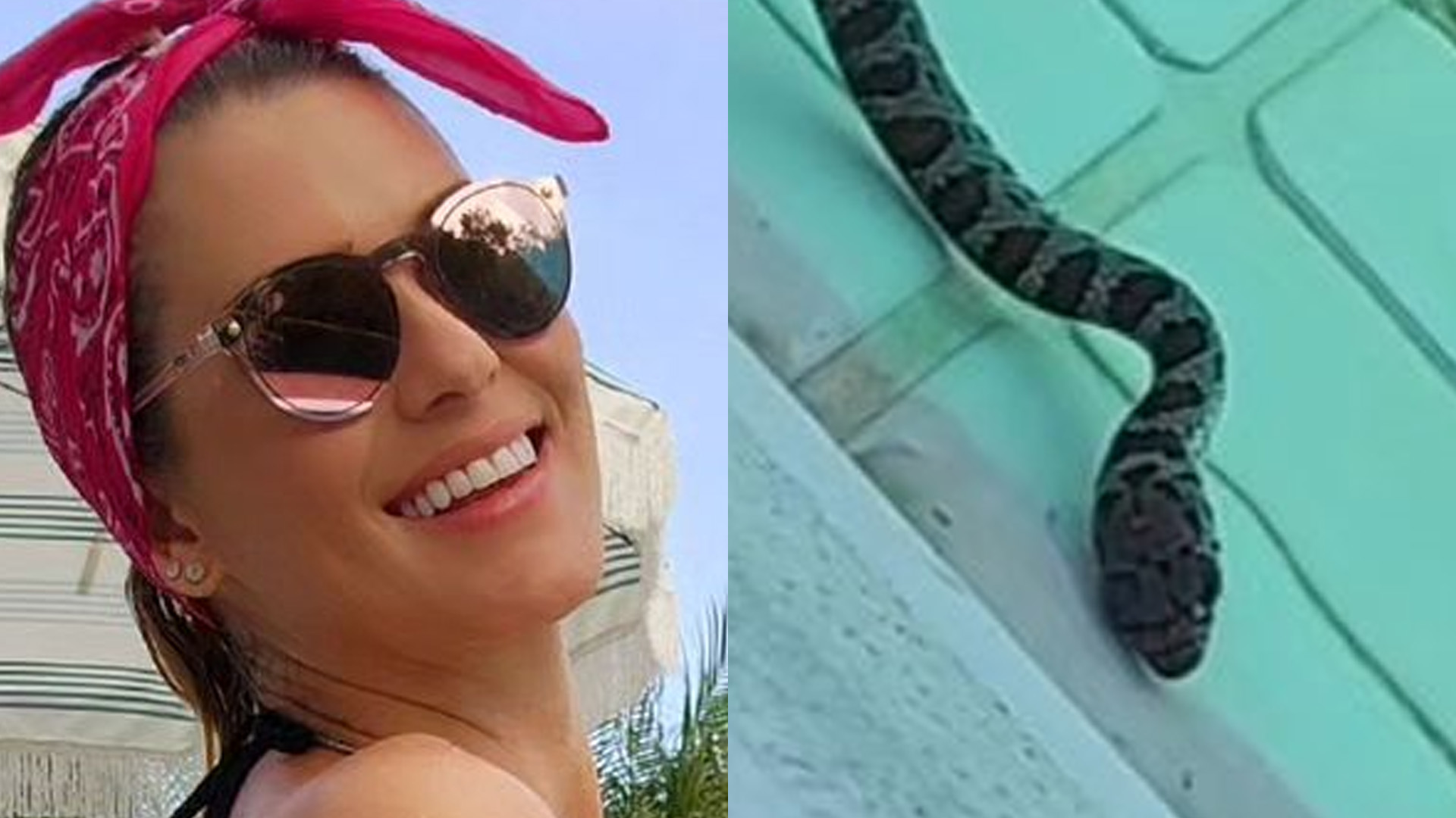 Lívia Andrade tem banho de piscina interrompido por cobra e assusta fãs: “Cuidado”