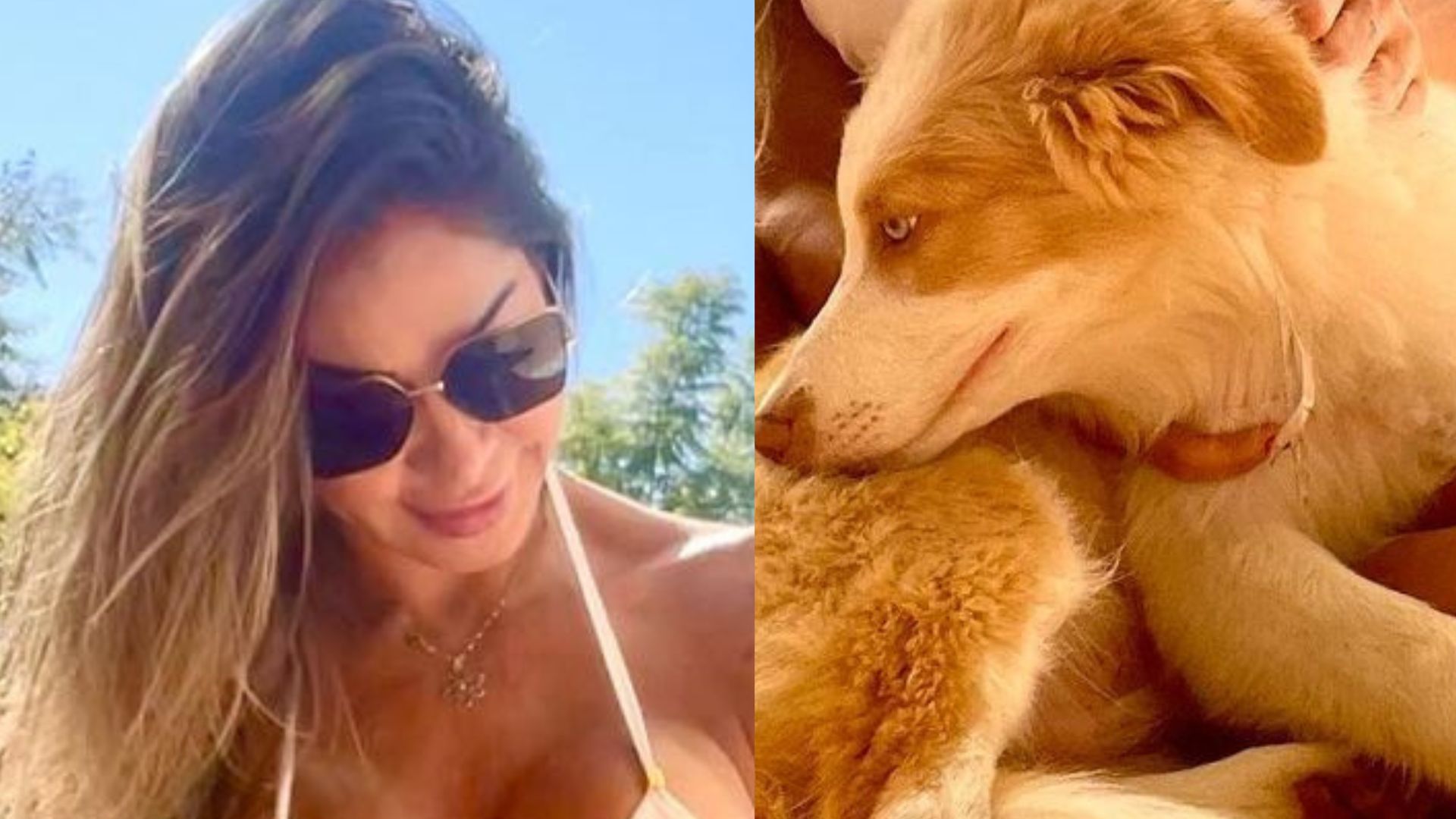 Maíra Cardi surge com cachorro e recebe graves acusações: “Esse também?”