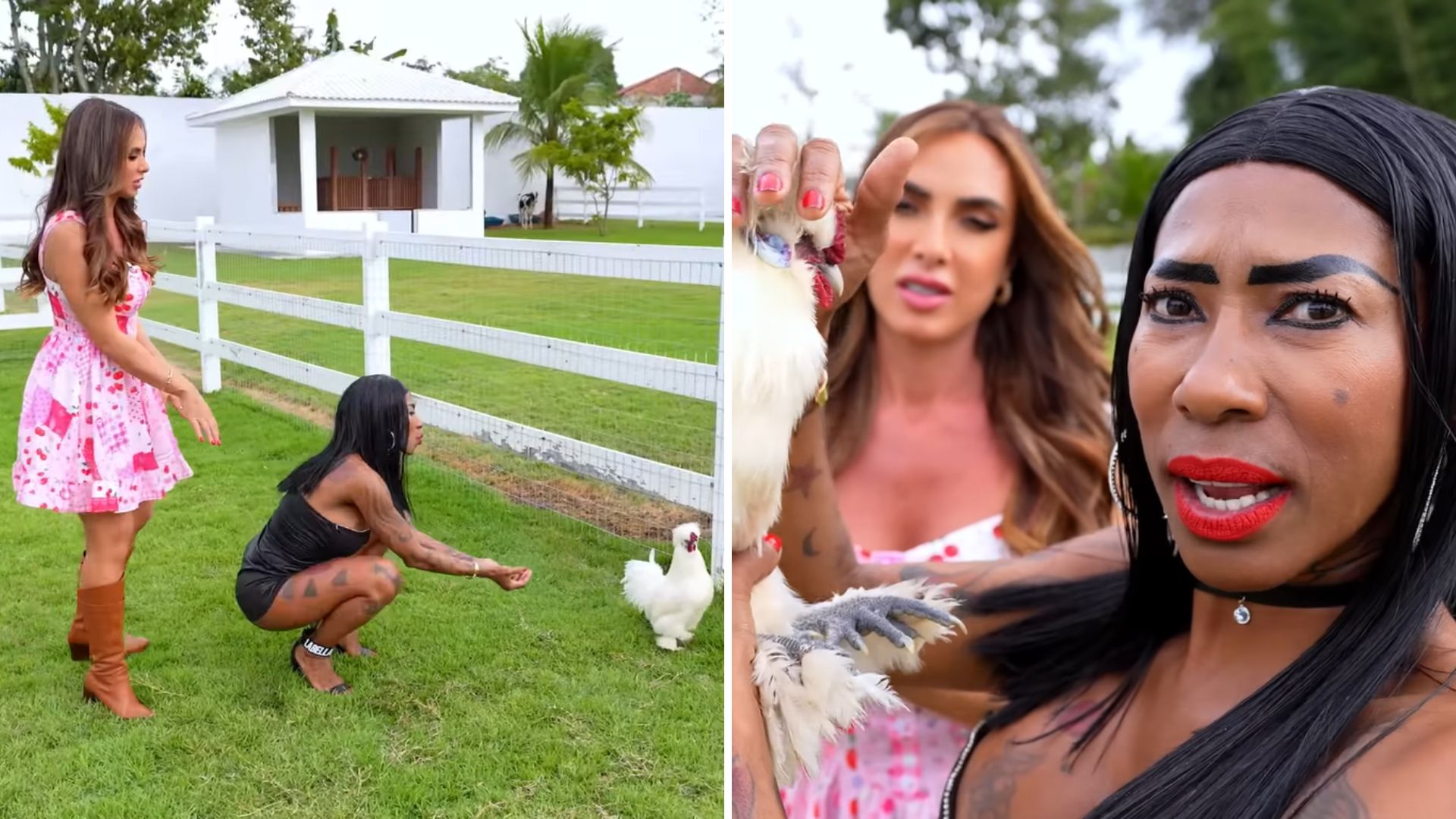 Nicole Bahls e Inês Brasil batizam aves com nomes de casal famoso: “Adoro”