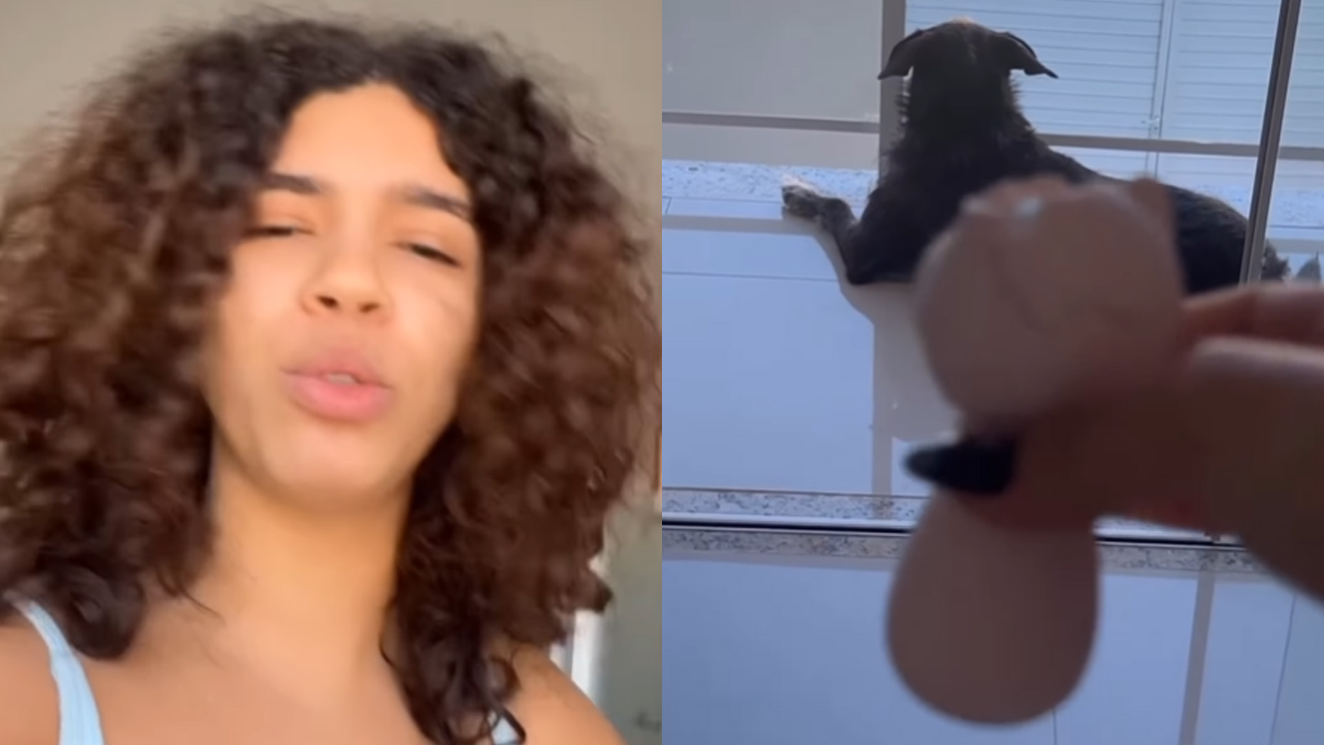 Ex-BBB Maria tem brinquedinho destruído por cachorros e se revolta: “Meu lazer”