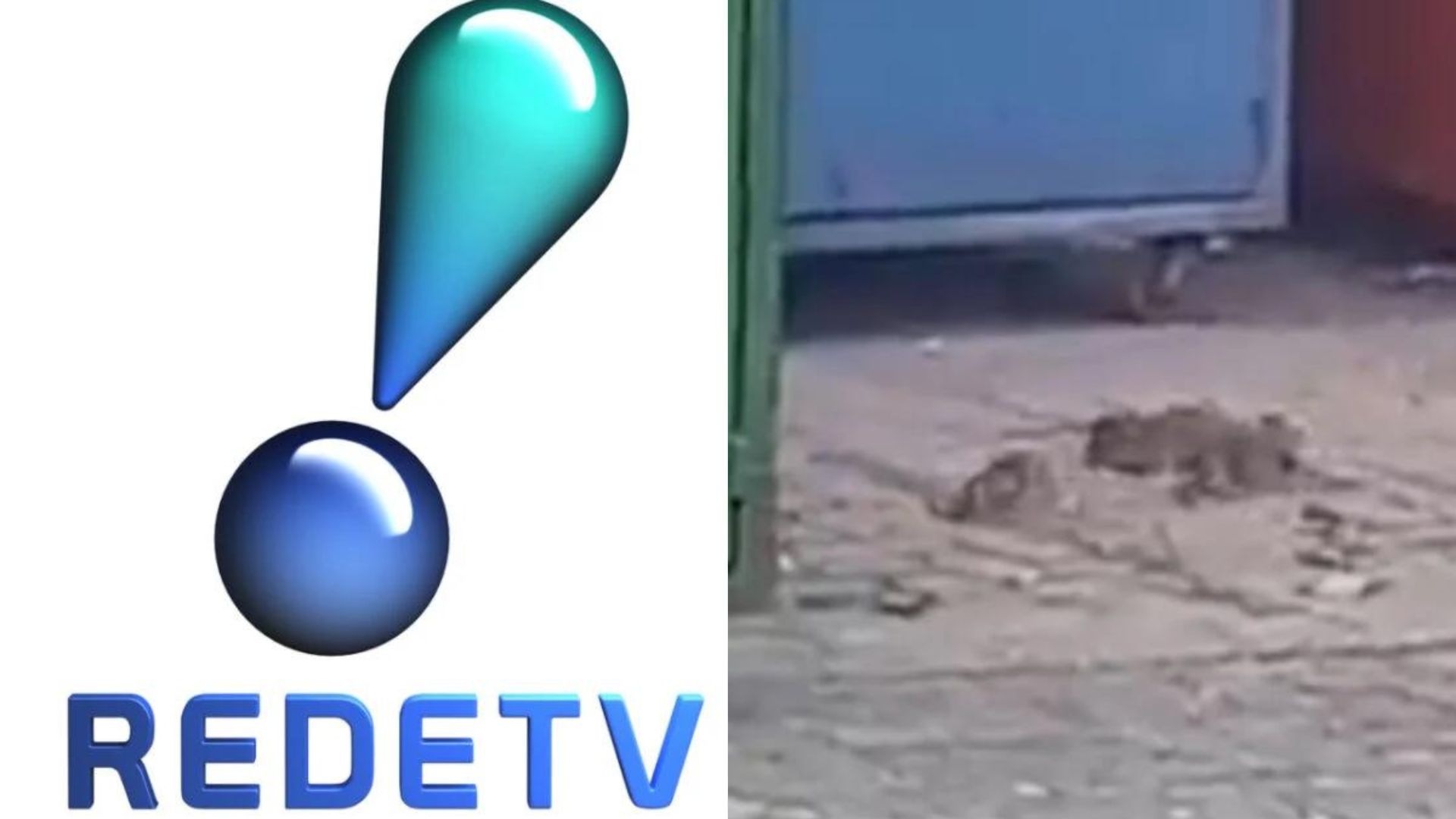 Imundície! RedeTV! sofre infestação de ratos em bastidores perto de programa culinário