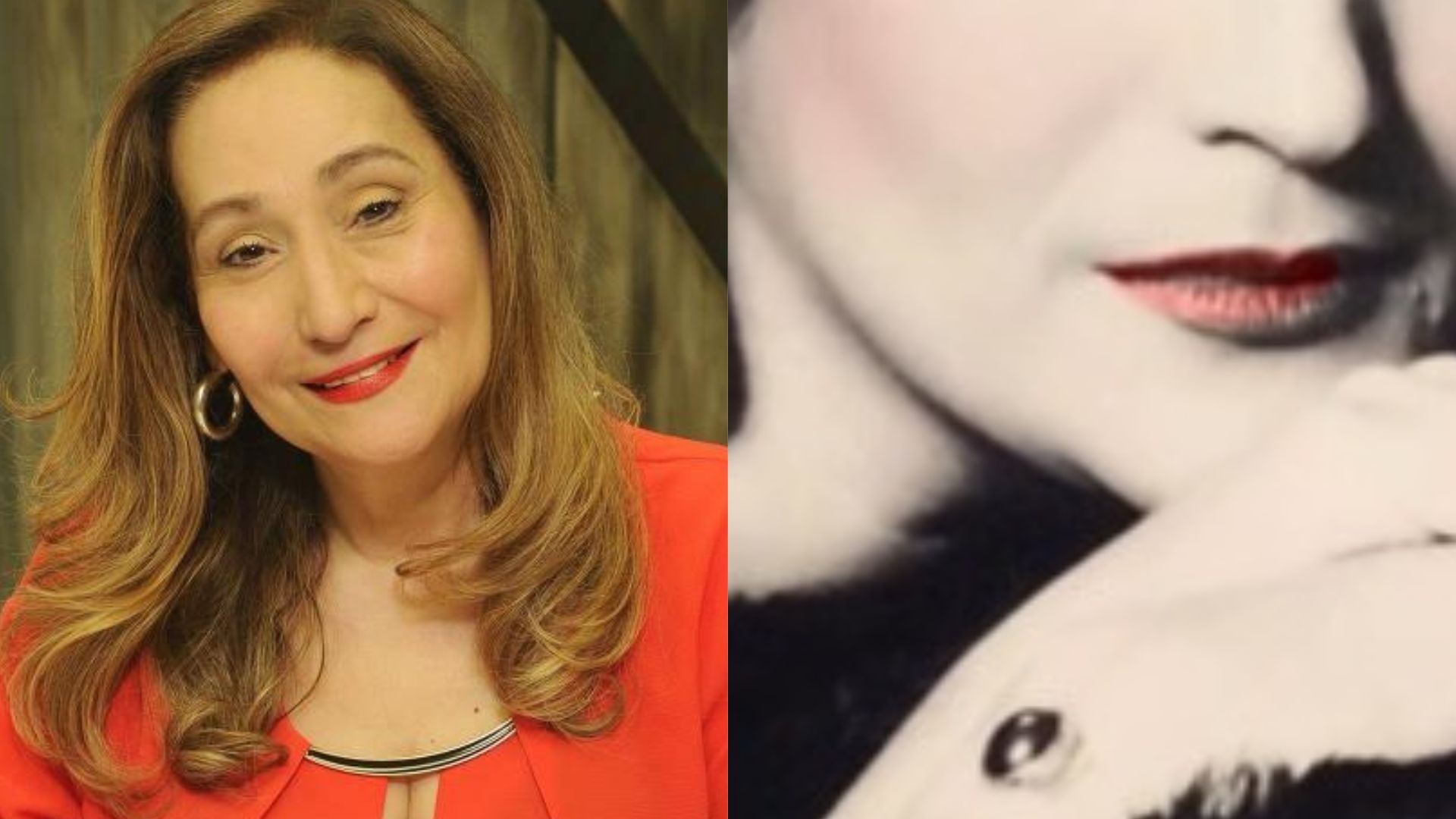 Sonia Abrão resgata clique inédito da juventude e causa alvoroço na web: “Deusa”