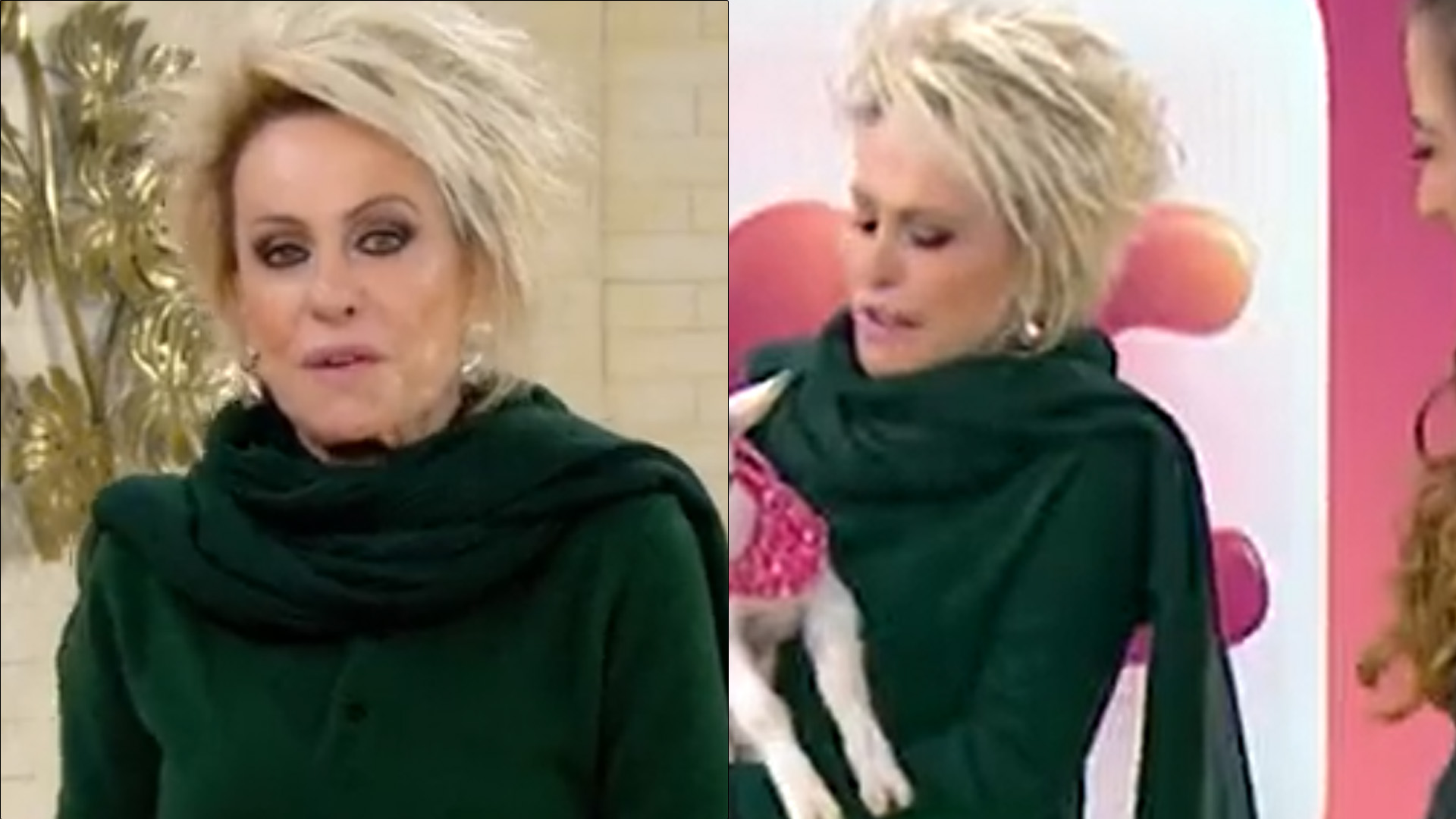 Animais exóticos invadem ‘Mais Você’ e Ana Maria Braga pega no colo: “Dóceis”