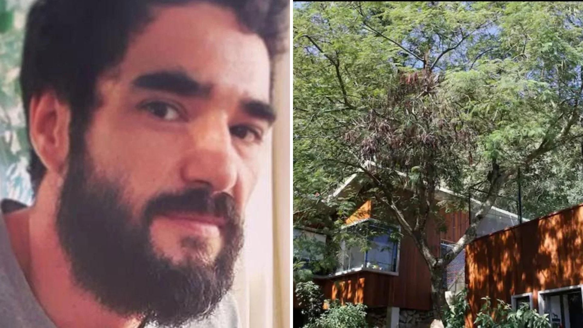 Caio Blat coloca à venda ‘Casa na Árvore’ gigantesca por R$ 6 milhões