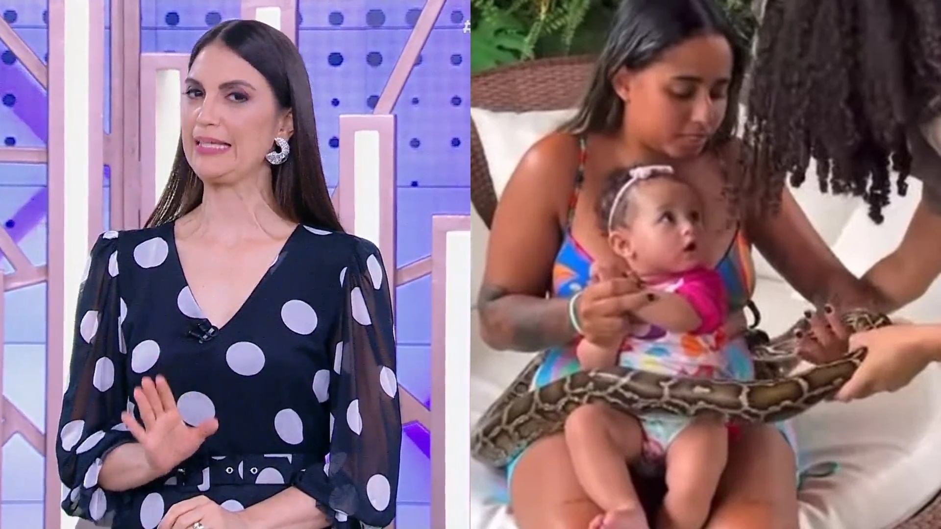 Chris Flores detona Mc Loma por deixar filha interagir com cobra: “Risco da picada”