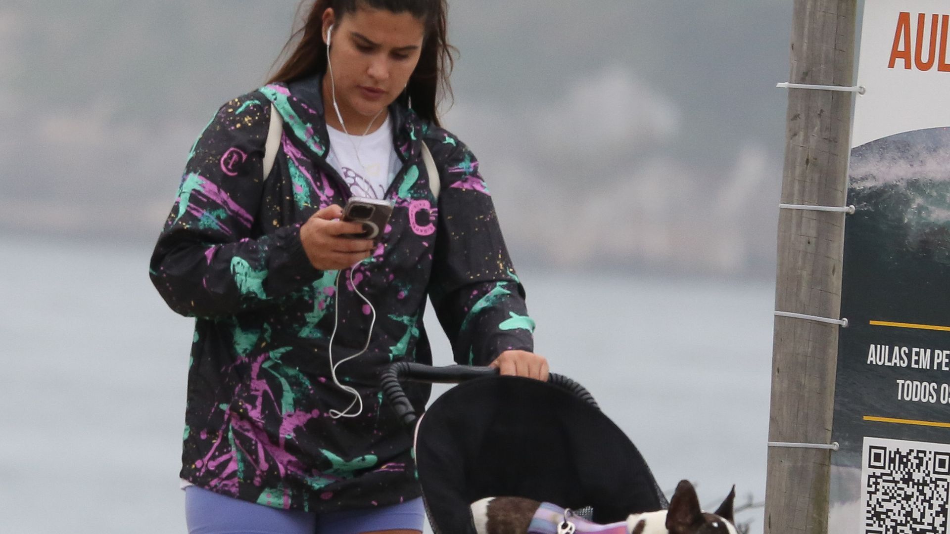 Filha de Flávia Alessandra passeia com cachorro em carrinho de bebê