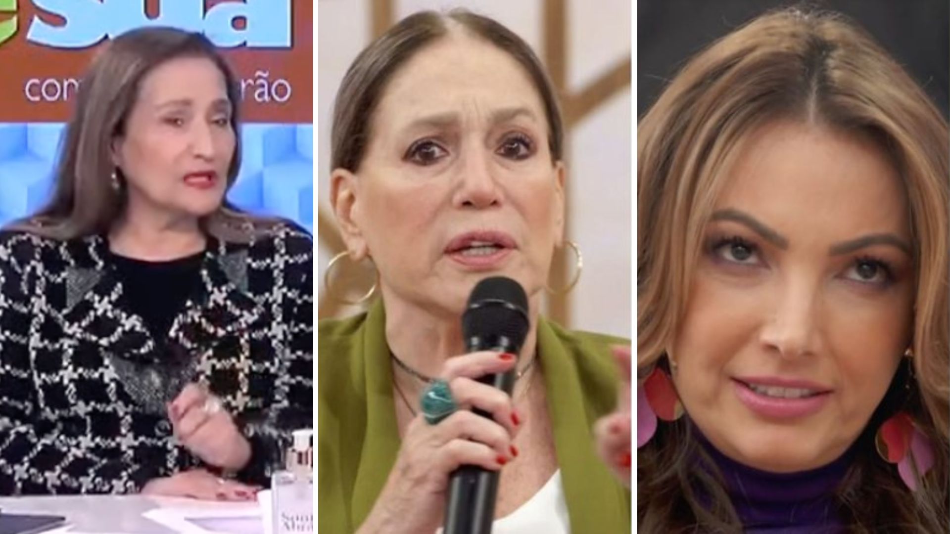 Sonia Abrão elogia coragem de Susana Vieira no Encontro: “Um tapa na cara”