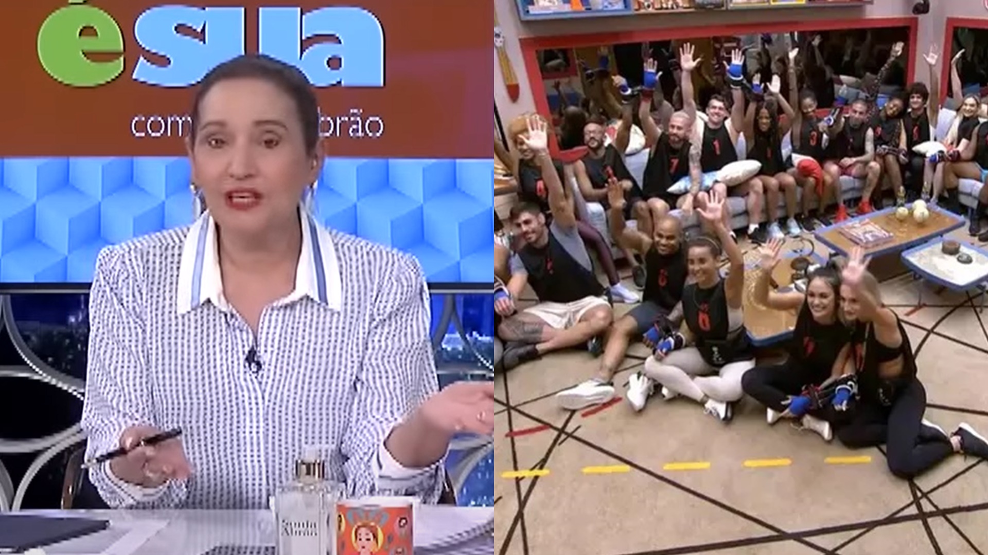BBB23: Sonia Abrão detona a Globo após anúncio de repescagem: “Desrespeito ao público”