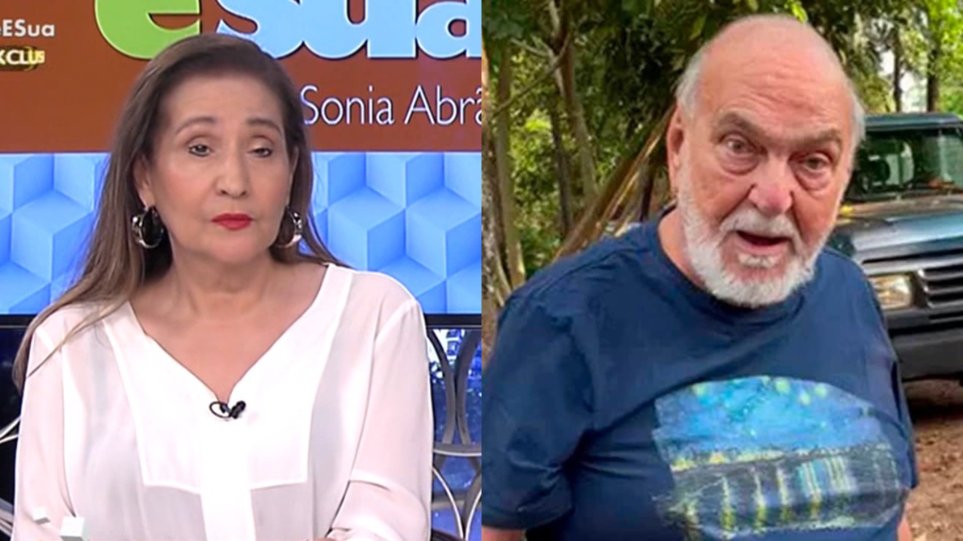 Sonia Abrão massacra Lima Duarte após vítima de atropelamento implorar ajuda: “Não basta”