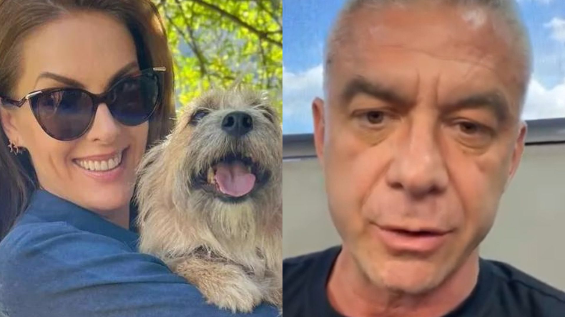Ex-marido de Ana Hickmann ofendia cachorro que a salvou: “Vira-lata”