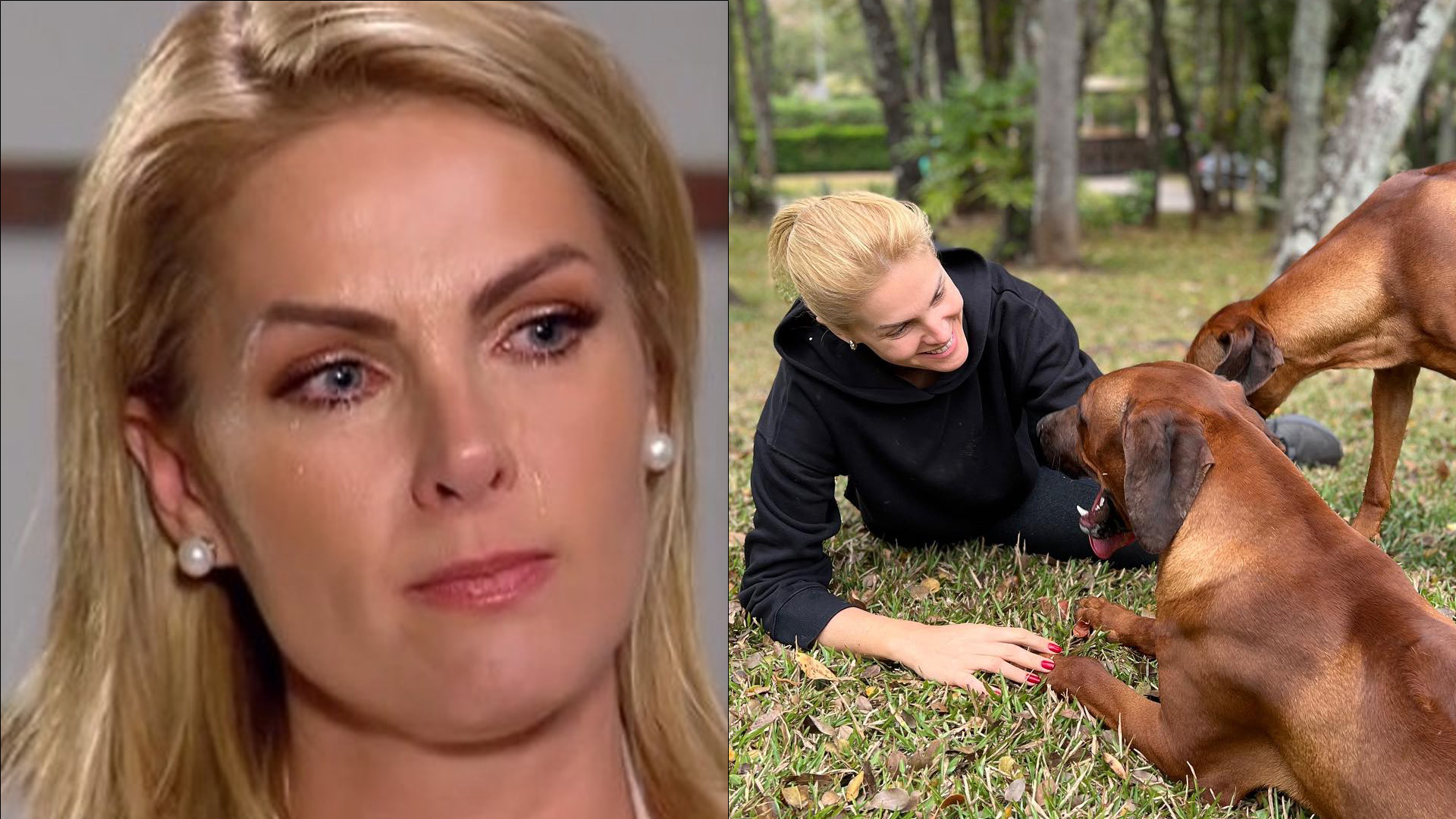 Salva de agressão, Ana Hickmann agradece cães de estimação: “Super-heróis”