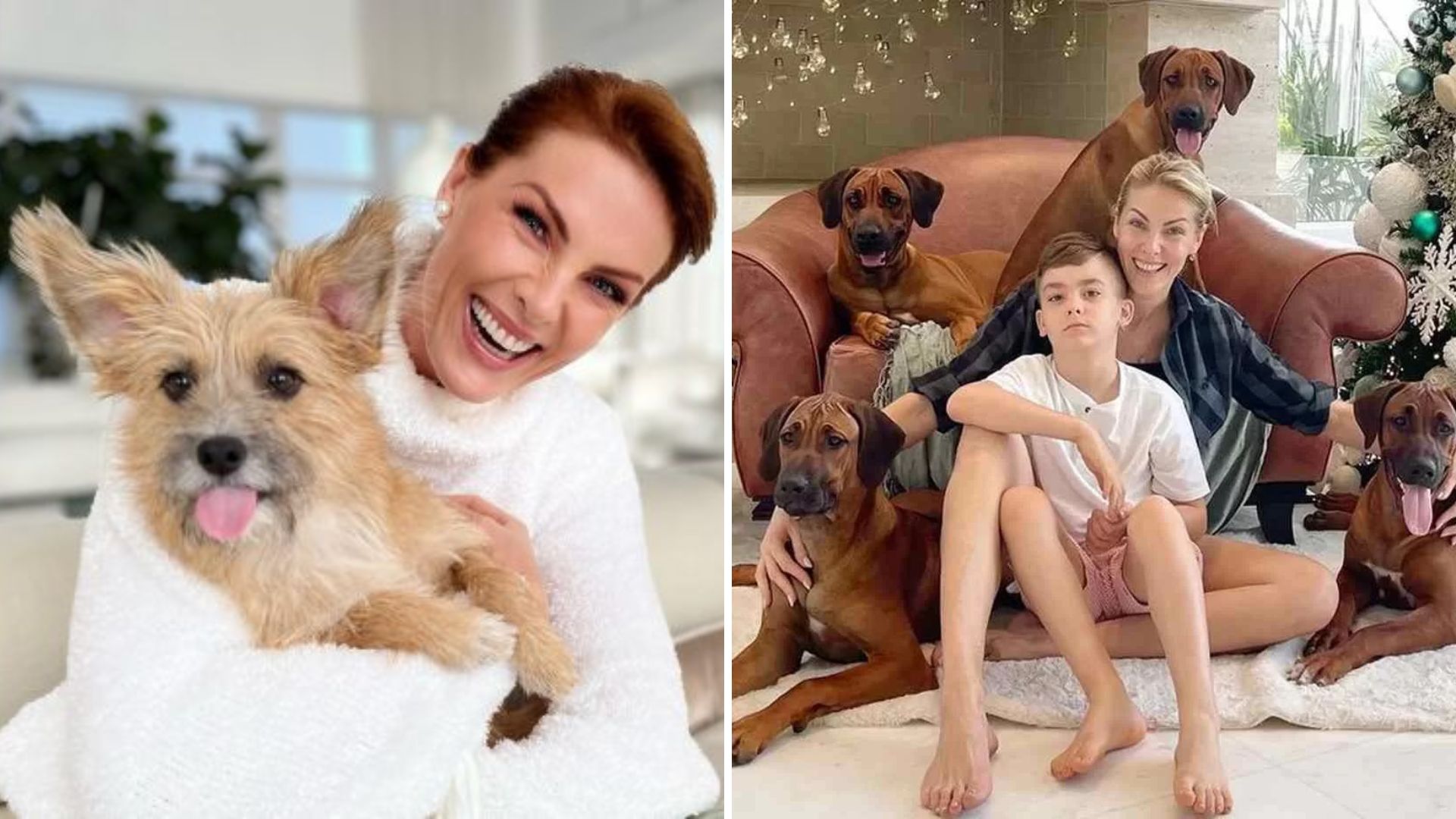 Contra a vontade do marido, Ana Hickmann montou salão de beleza pra 18 pets