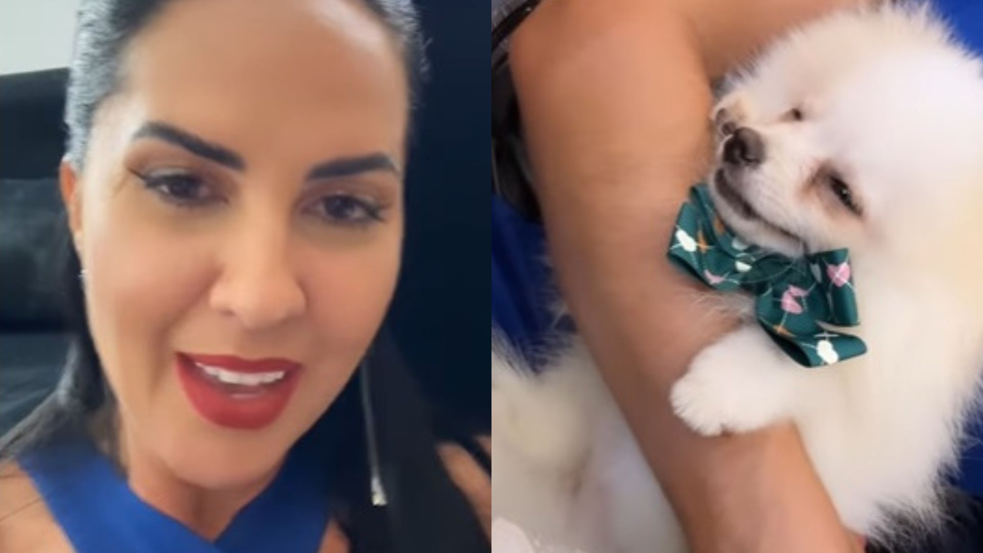 Tudo isso? Graciele Lacerda arremata cachorro por preço absurdo em leilão