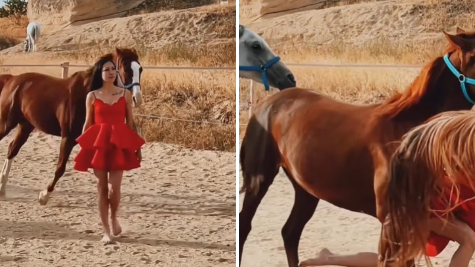 Influenciadora grava vídeo no meio de cavalos correndo e é atropelada por um
