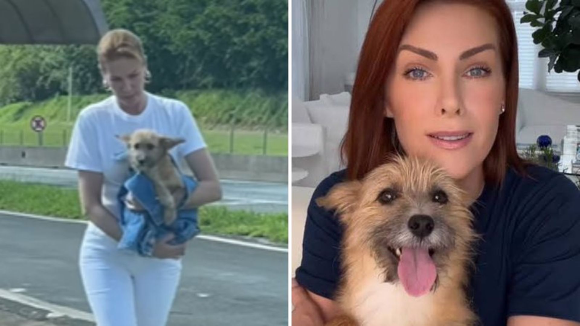 Marido se negou a resgatar cão que salvou Ana Hickmann: “Tem miolos a menos”
