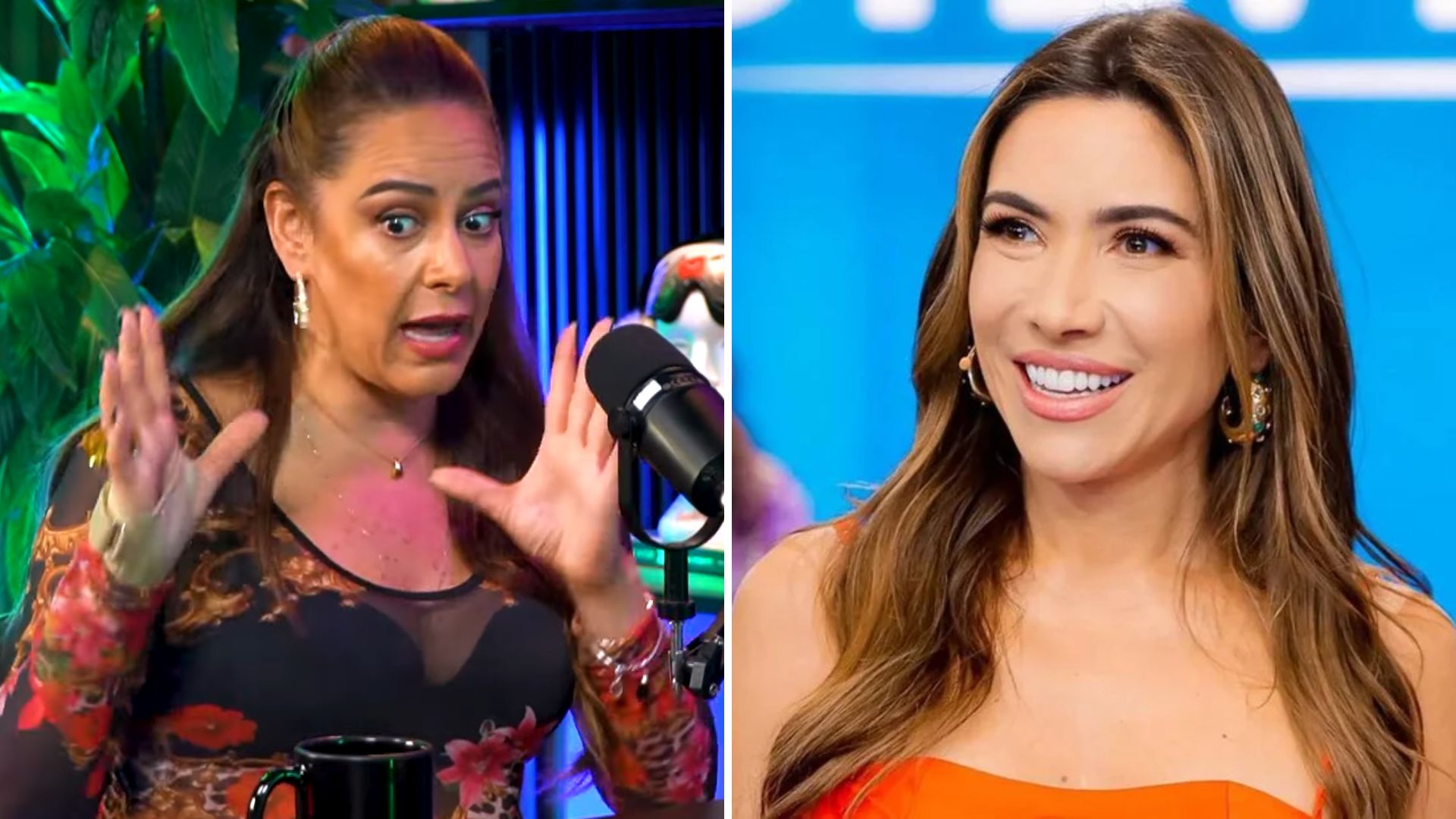 Silvia Abravanel fala sobre ciúmes de Patrícia Abravanel no SBT: “Queria aparecer e sobressair”