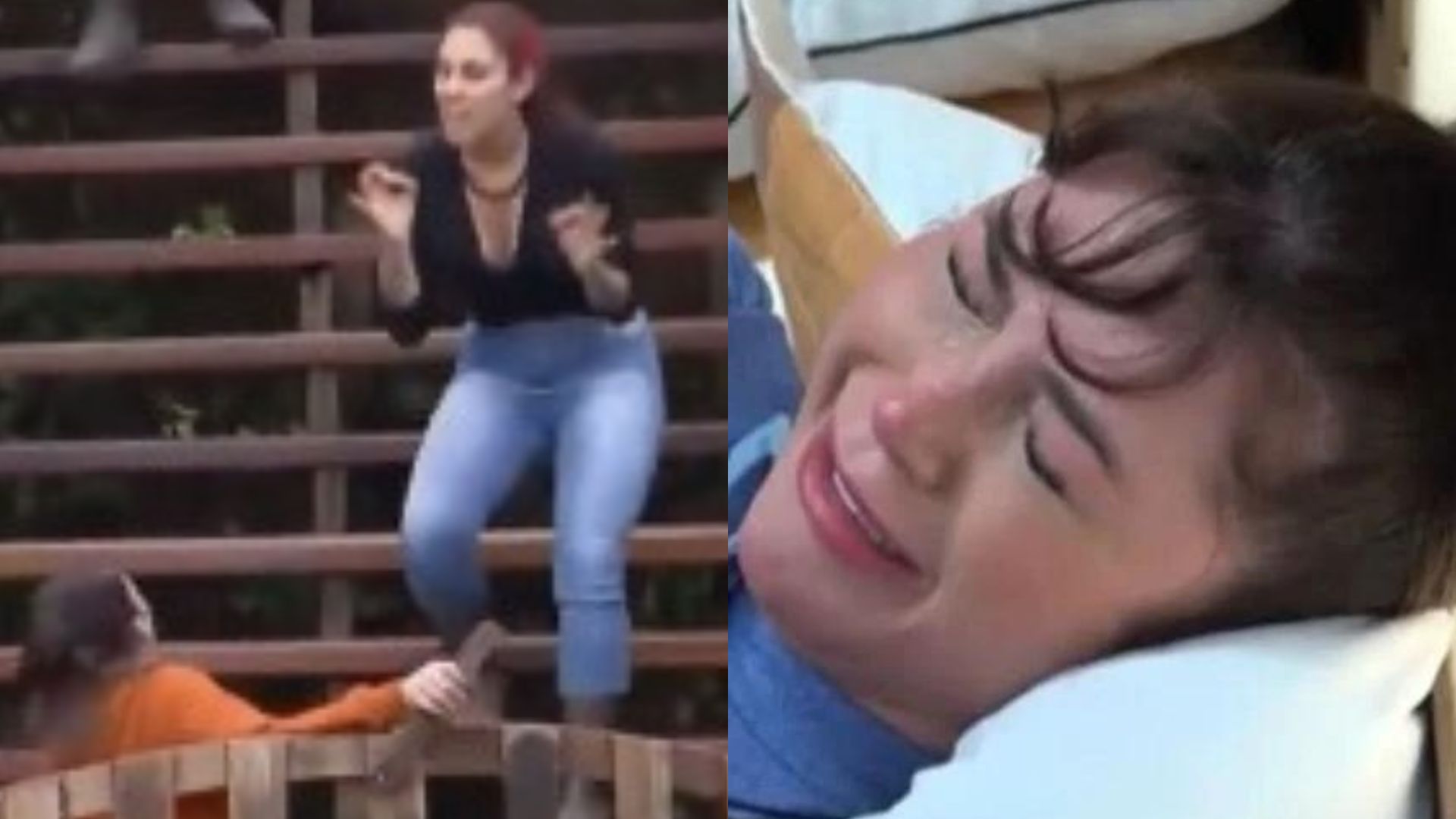 A Fazenda 15: O que é “mondra”? Alicia esculacha Nadja com termo ofensivo