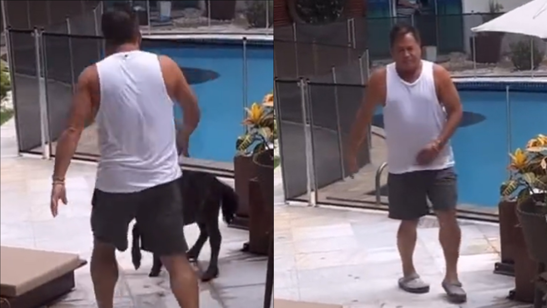 Leonardo é flagrado chutando animal de estimação da neta: “Não faz isso, não”