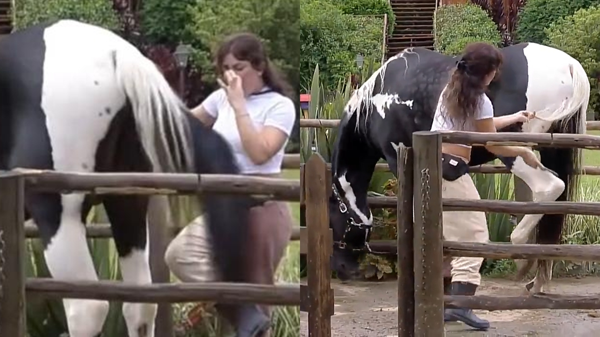 Nadja Pessoa se desespera ao levar piasada no pé de cavalo em A Fazenda: “Esmagou”