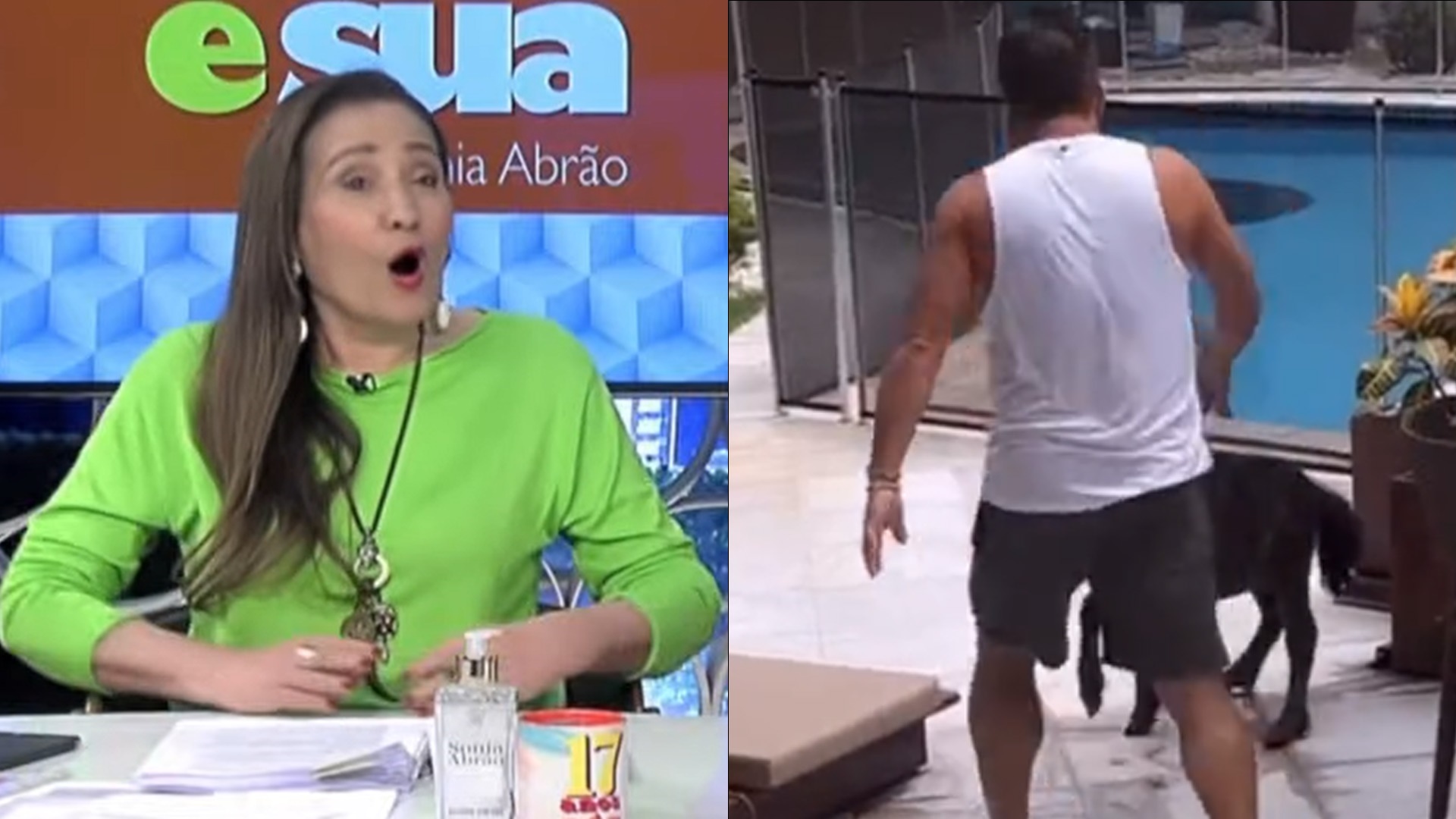 Sonia Abrão massacra Leonardo ao ver o cantor batendo em animal: “Decepcionante”