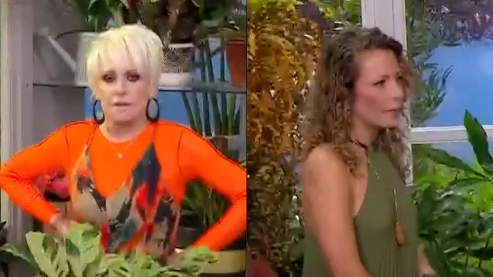 Ao vivo, Ana Maria Braga fica desorientada com sinceridade de convidada: “Depois dessa…”