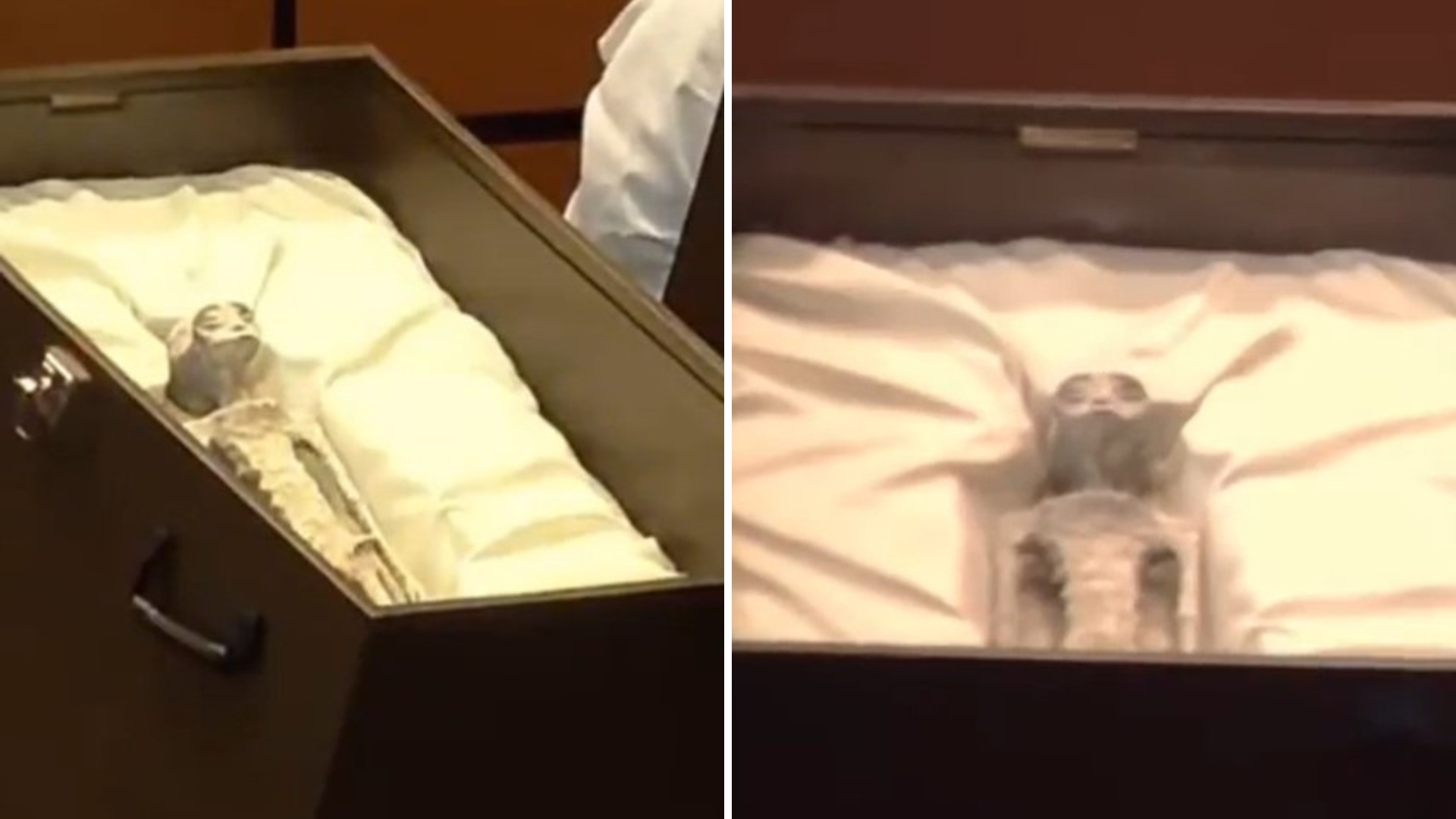 Supostos corpos de alienígenas são exibidos em assembleia pública: “Não são humanos”
