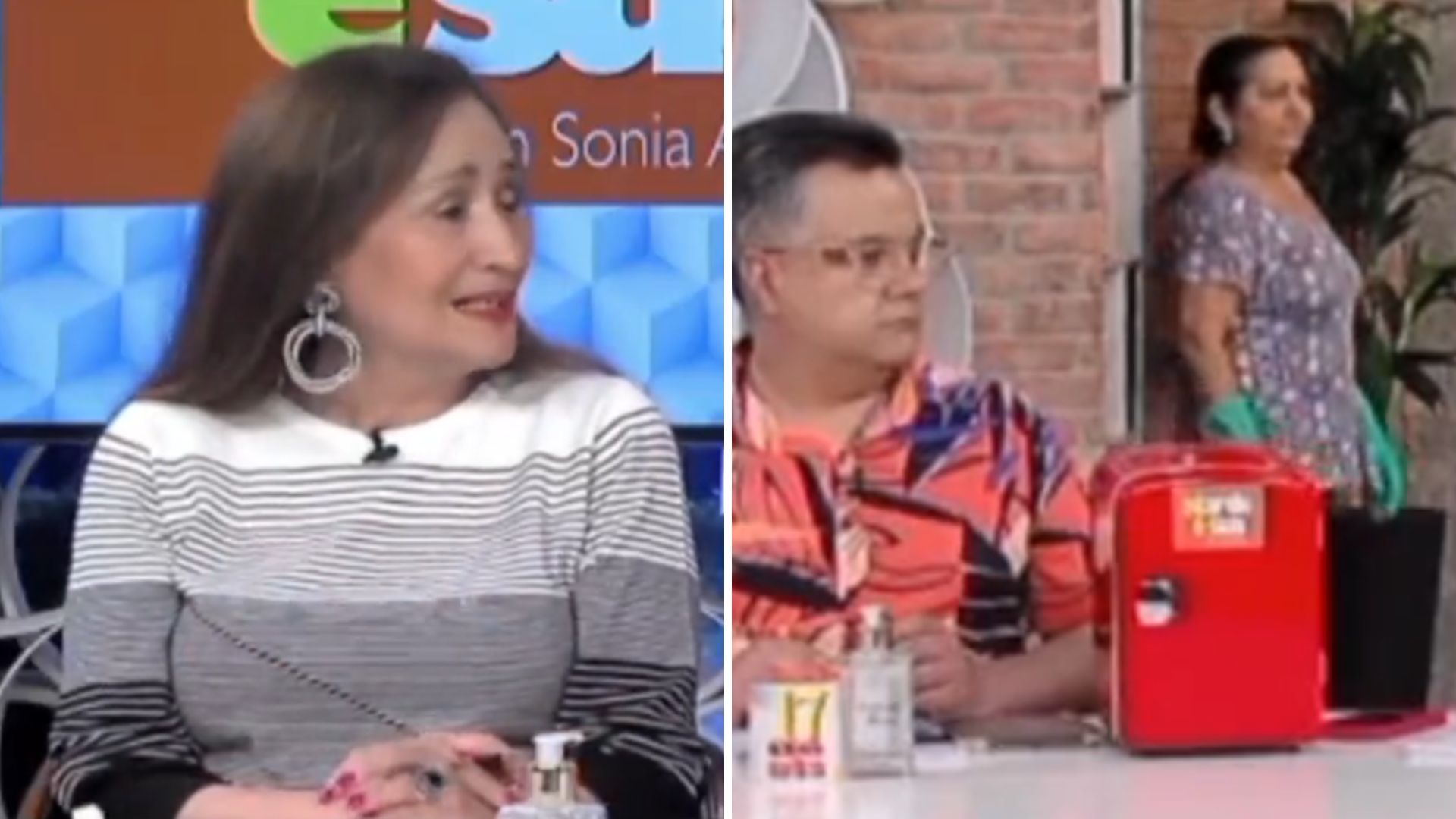 ‘A Tarde É Sua’ comete gafe e deixa funcionária roubar o show ao vivo